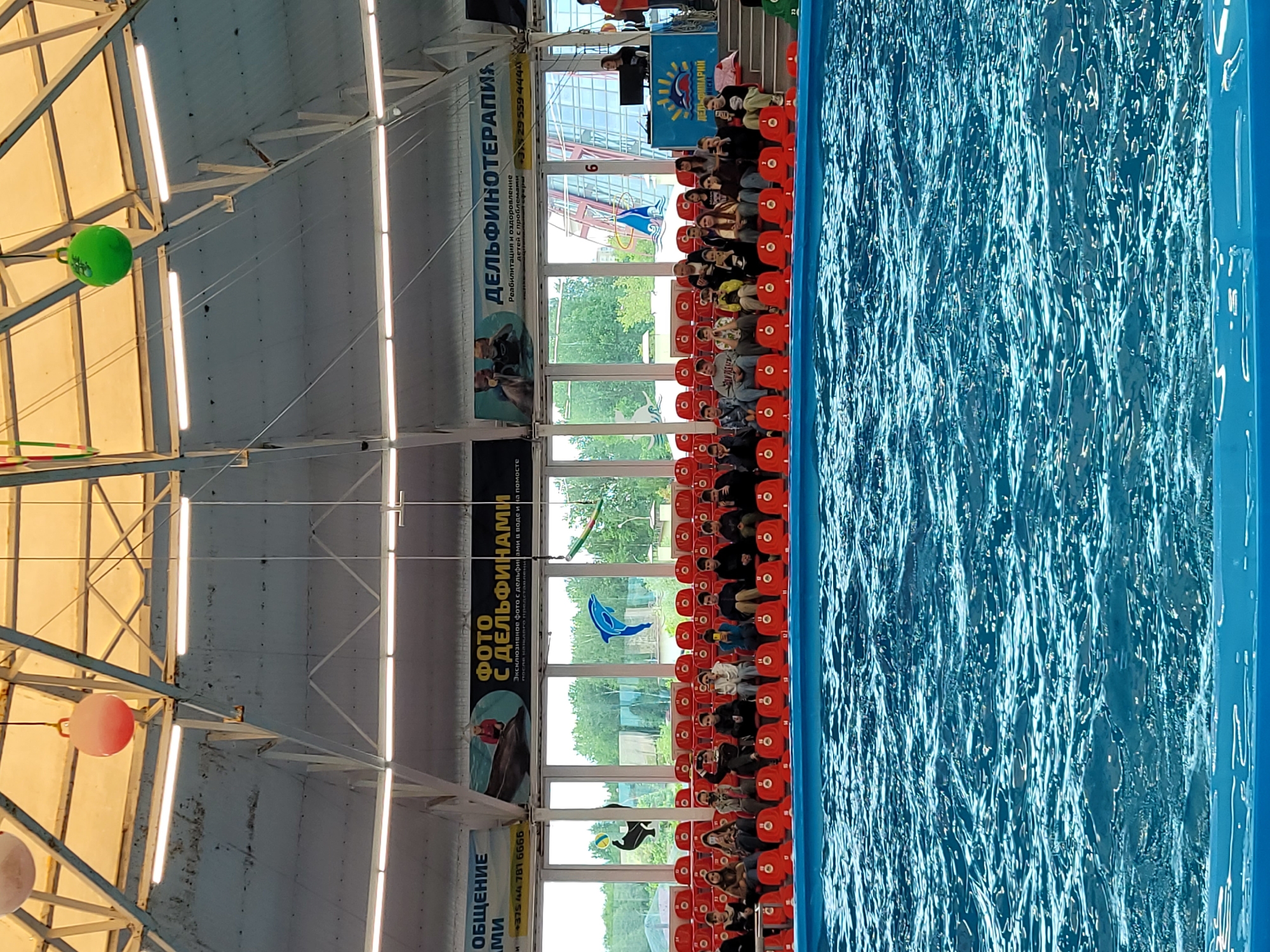 Sea lion performance draws audience at Minsk dolphinarium