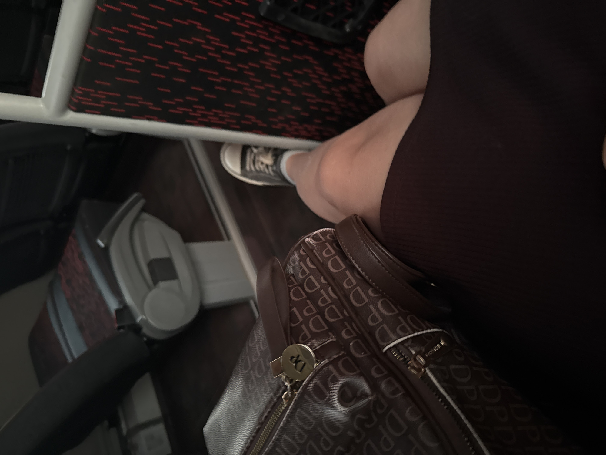 Passenger with brown bag spotted on public transport in Ermolino