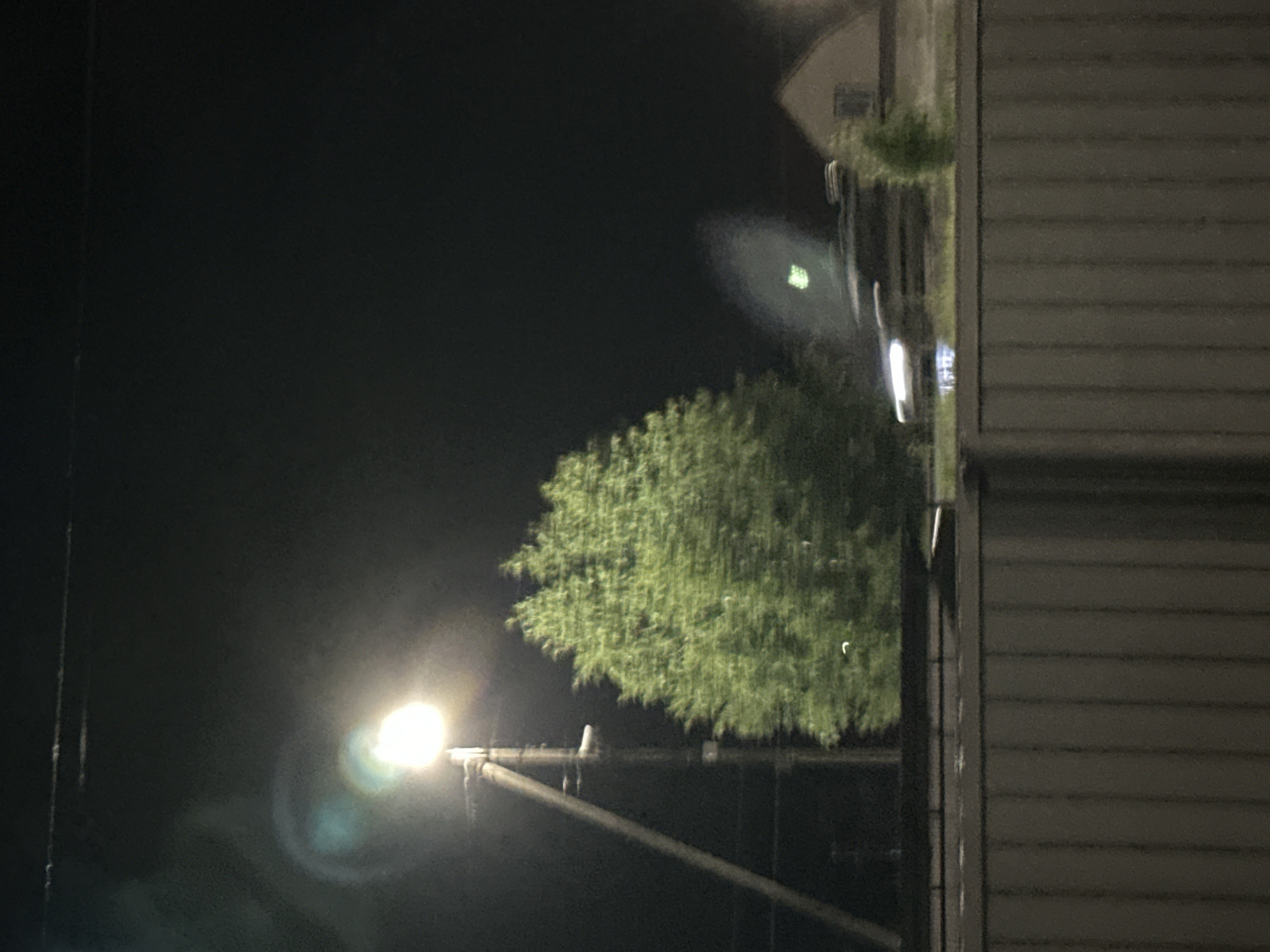 Nighttime garden observations: woodlice, strawberry blossoms, potted plants documented