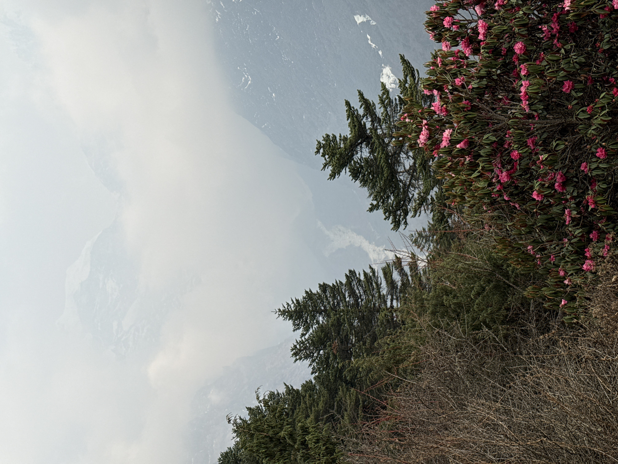 Tourist documents misty Himalayan peaks and wildlife near Tengboche