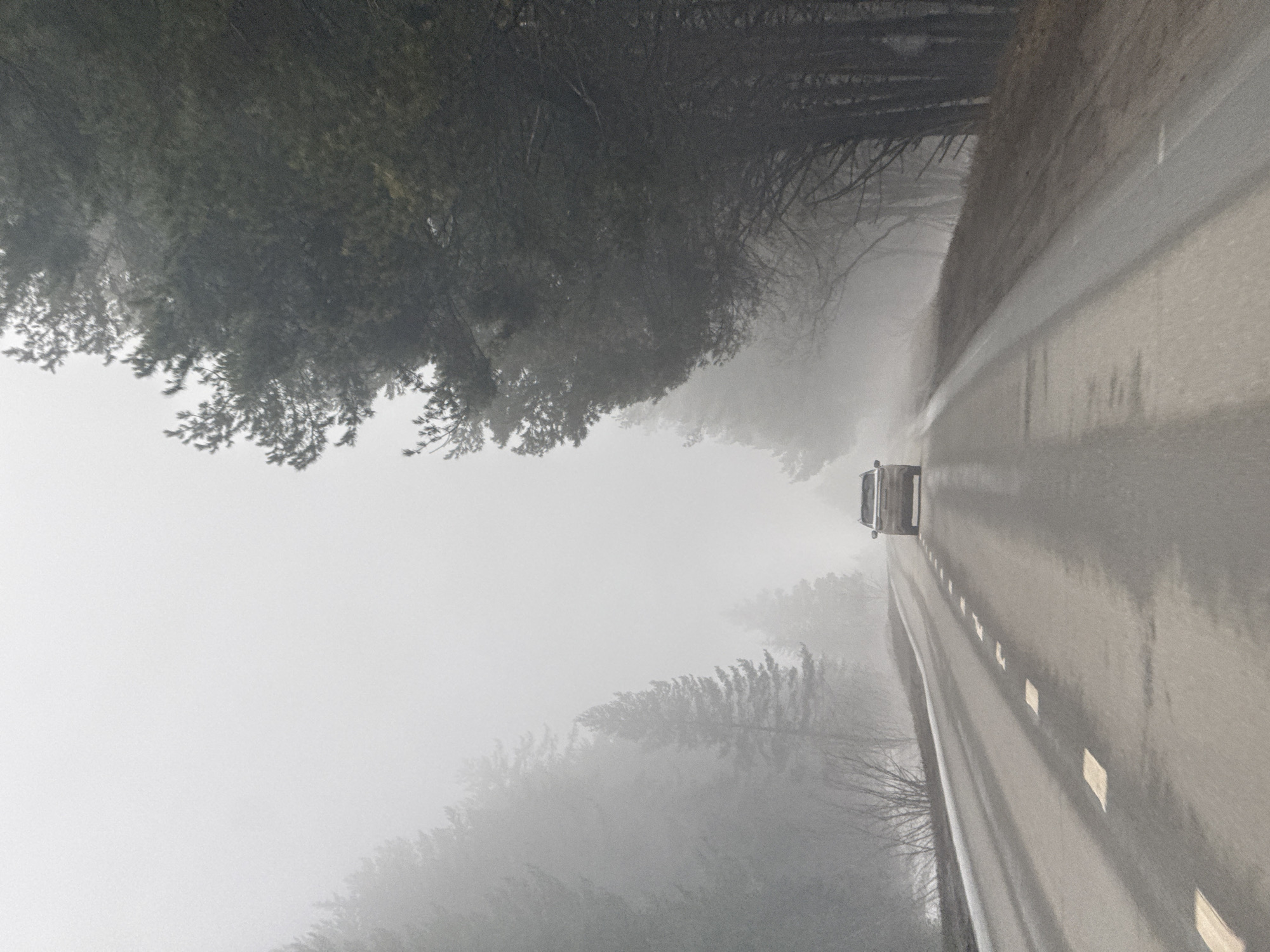 Car travels foggy tree-lined road in Забегалово, Russia