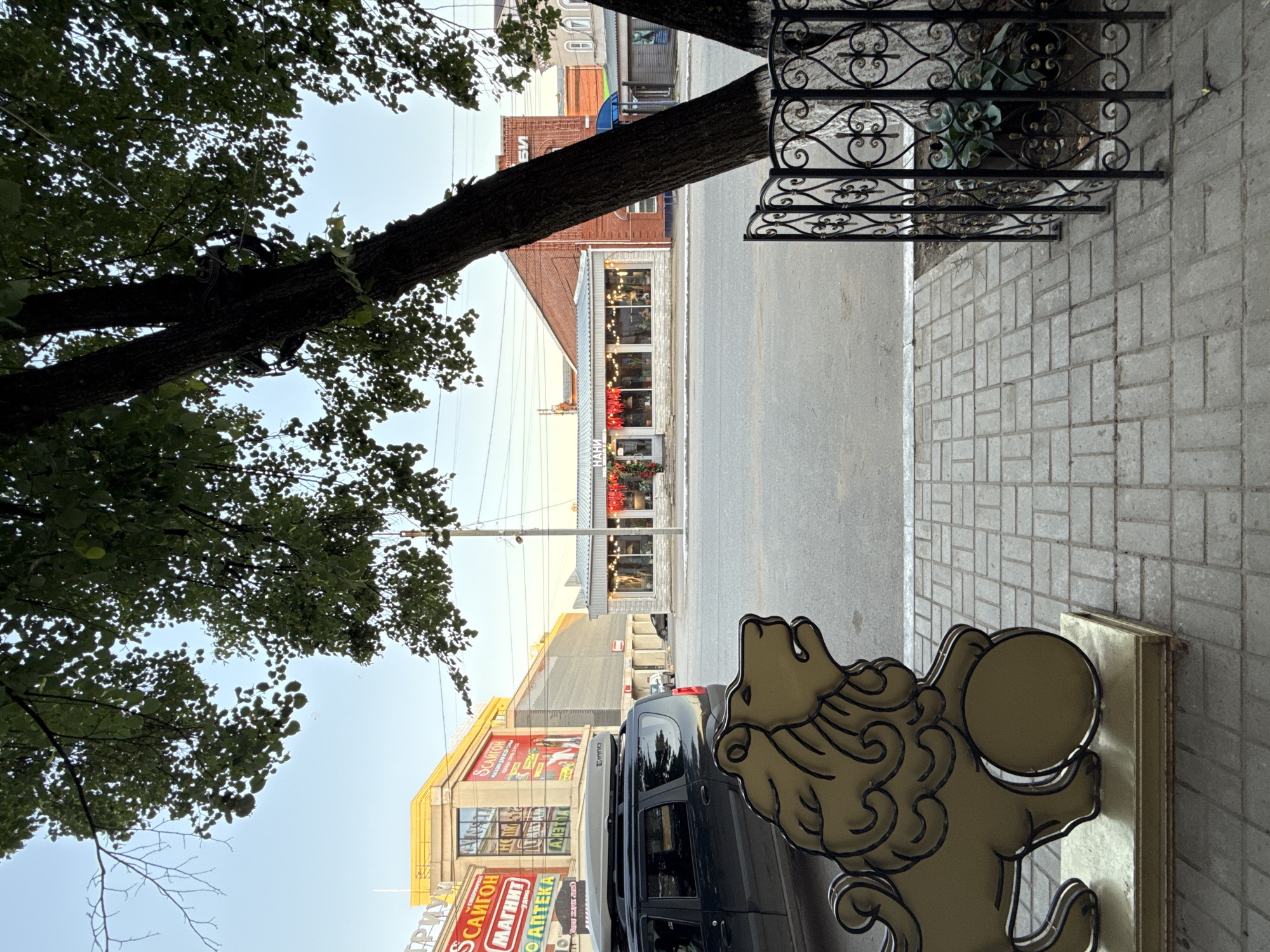 Summer evening stroll through Votkinsk, strawberries and a cat at home