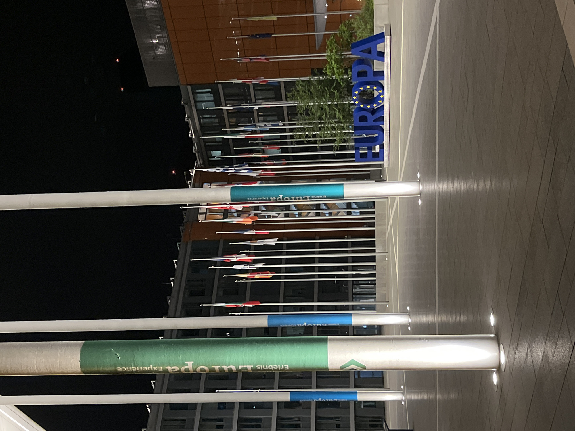 Person sits on poles at Luxembourg's Europa Experience