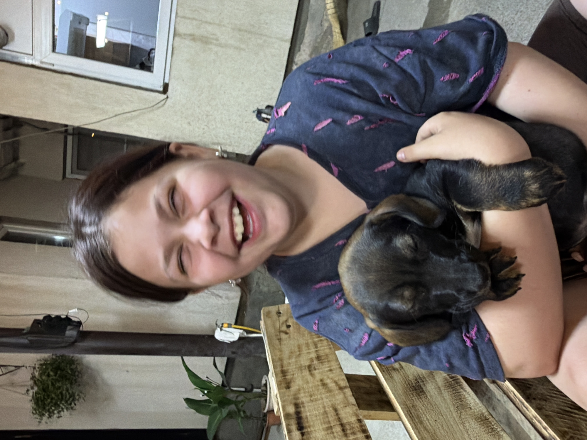Puppy cuddles on a wooden bench in Tuapse