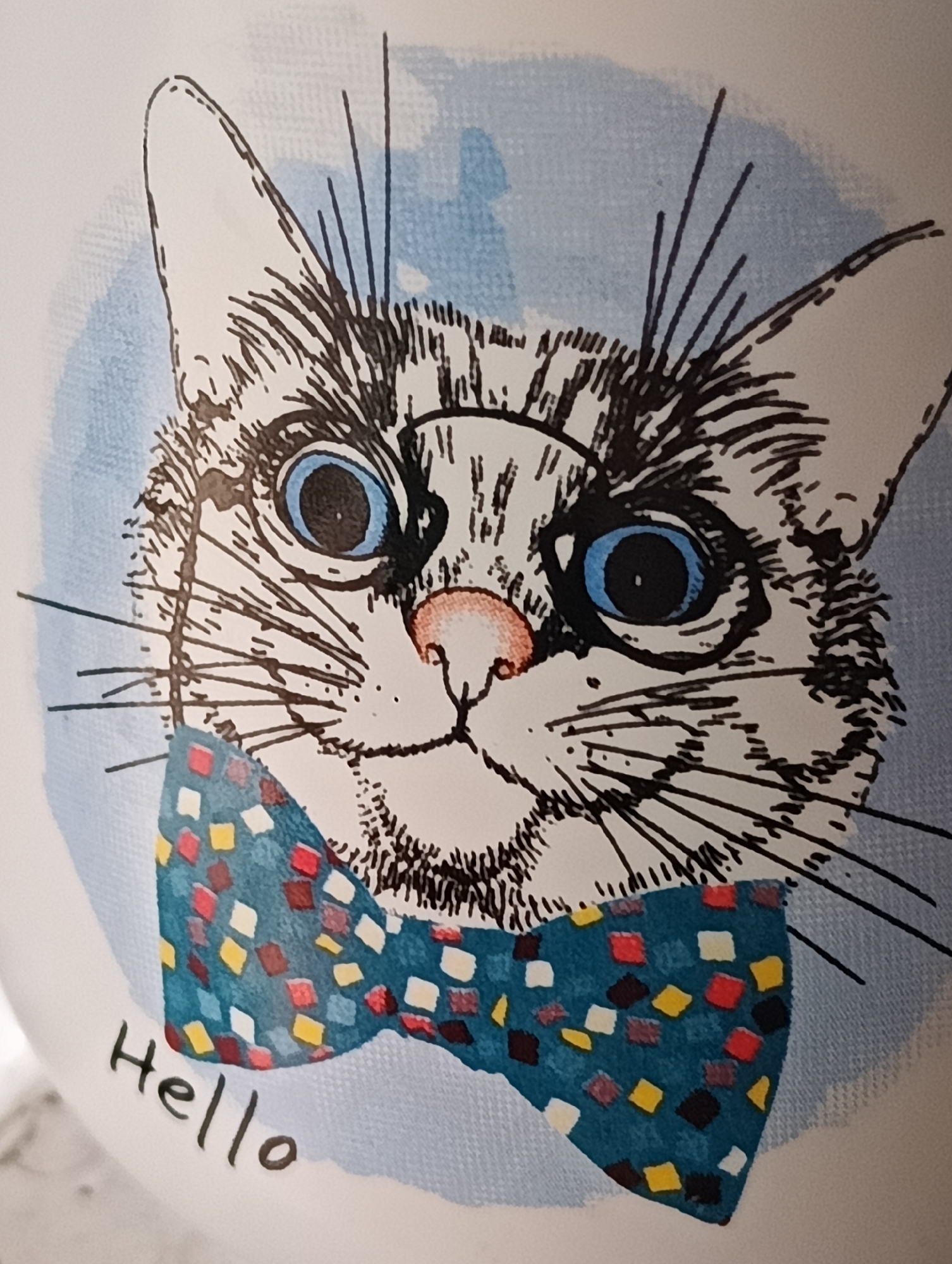 Witness captures cats and cash in morning memory fragments