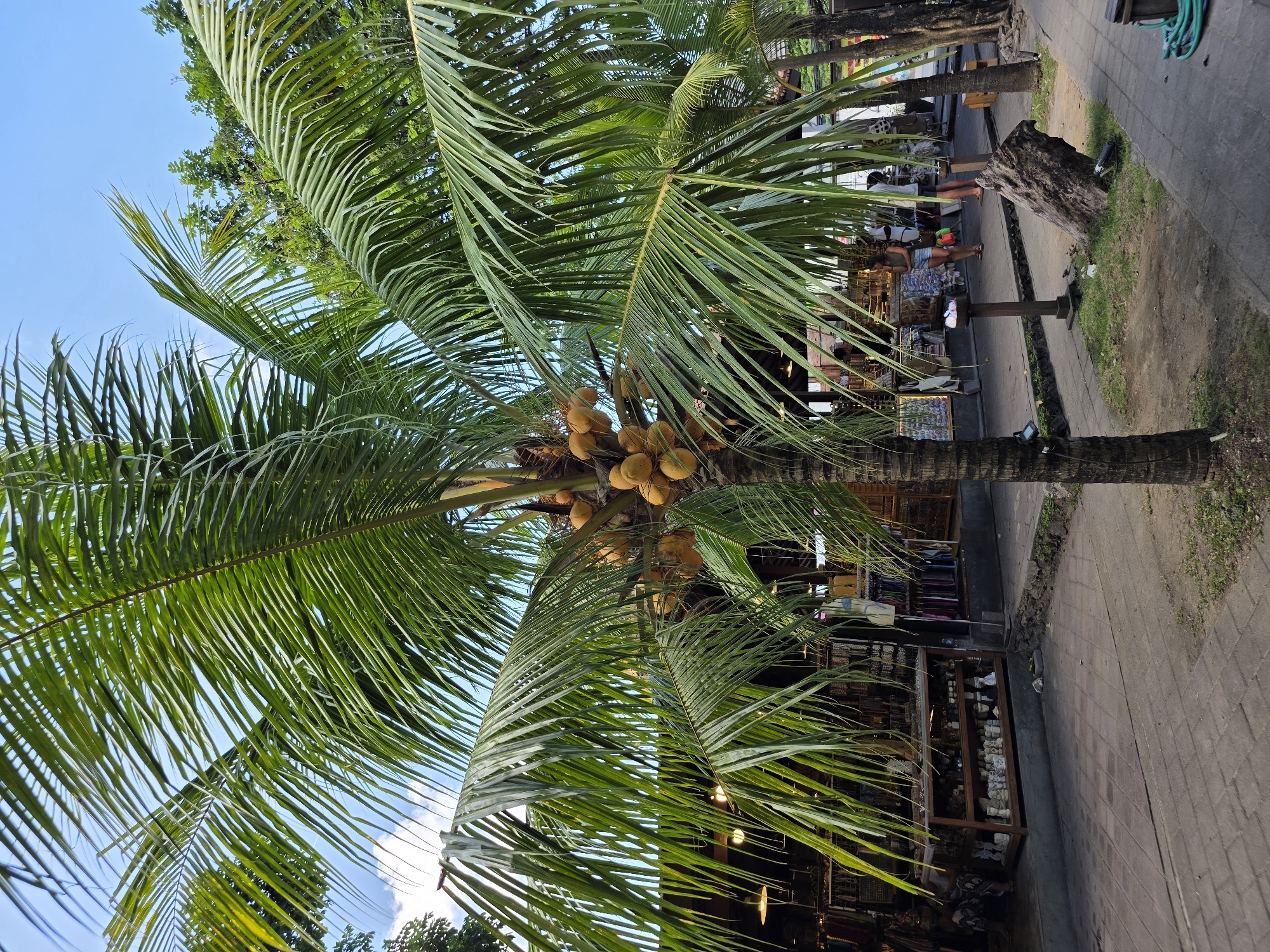 Street-level scenes outside La Brisa, North Kuta, Bali