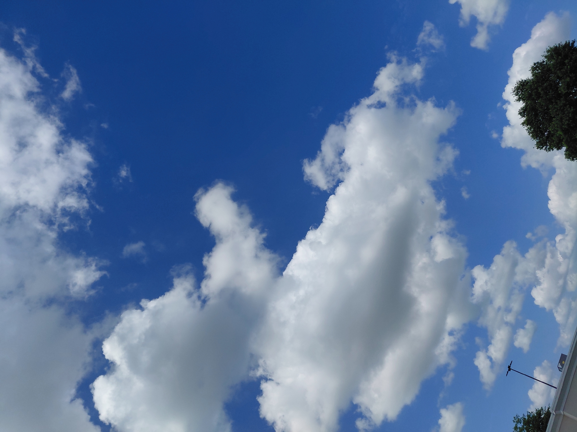 Blue sky and cumulus clouds over Nicholasville, Kentucky