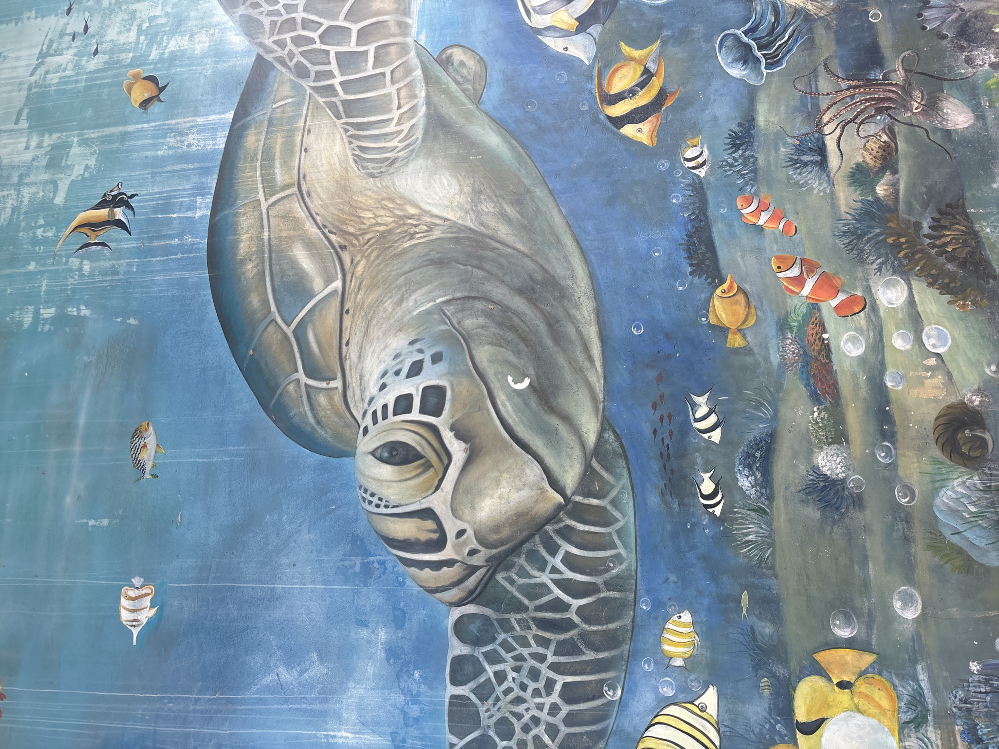Street-level Nha Trang: murals, sculptures, cafés, and campus