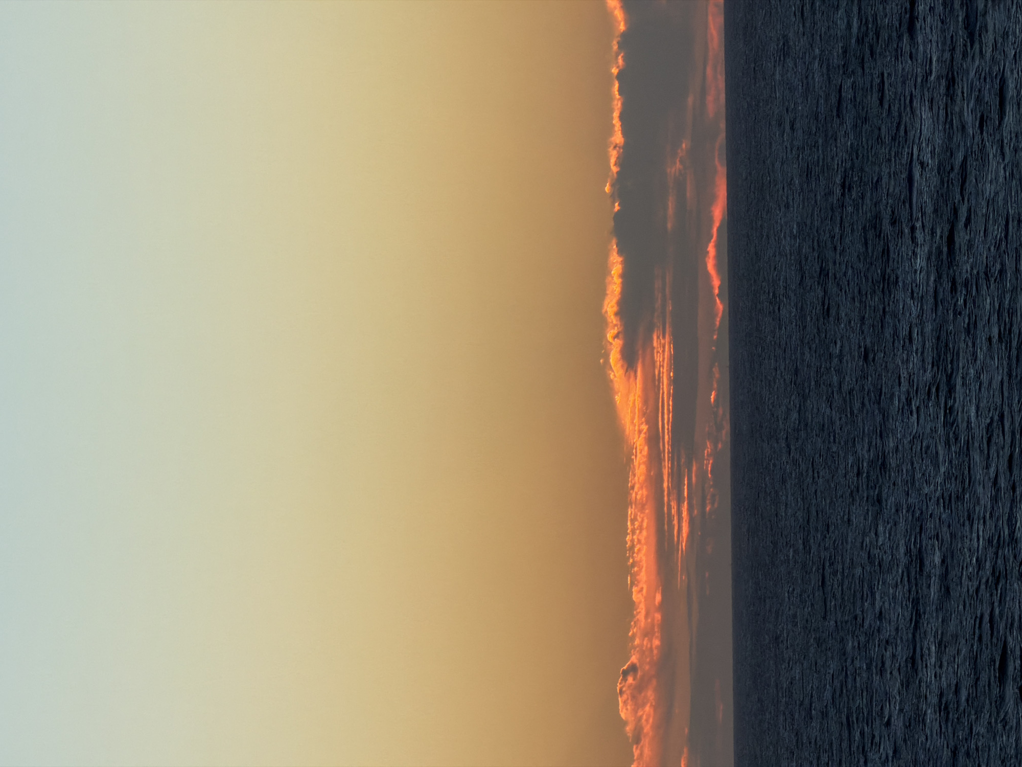 Witness documents sunset over water with moon and wildlife