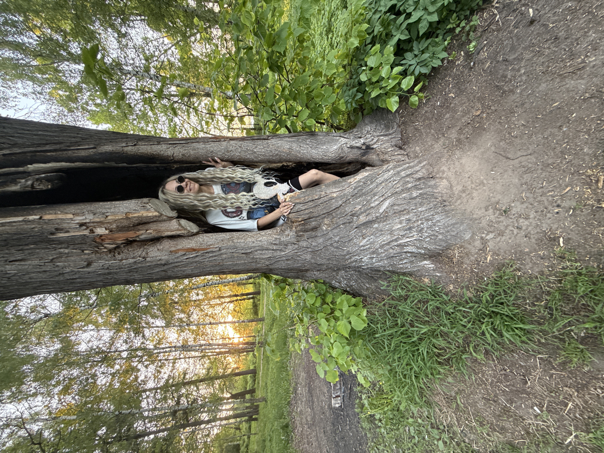 Digital career motivation messages and tree photography in Russian village