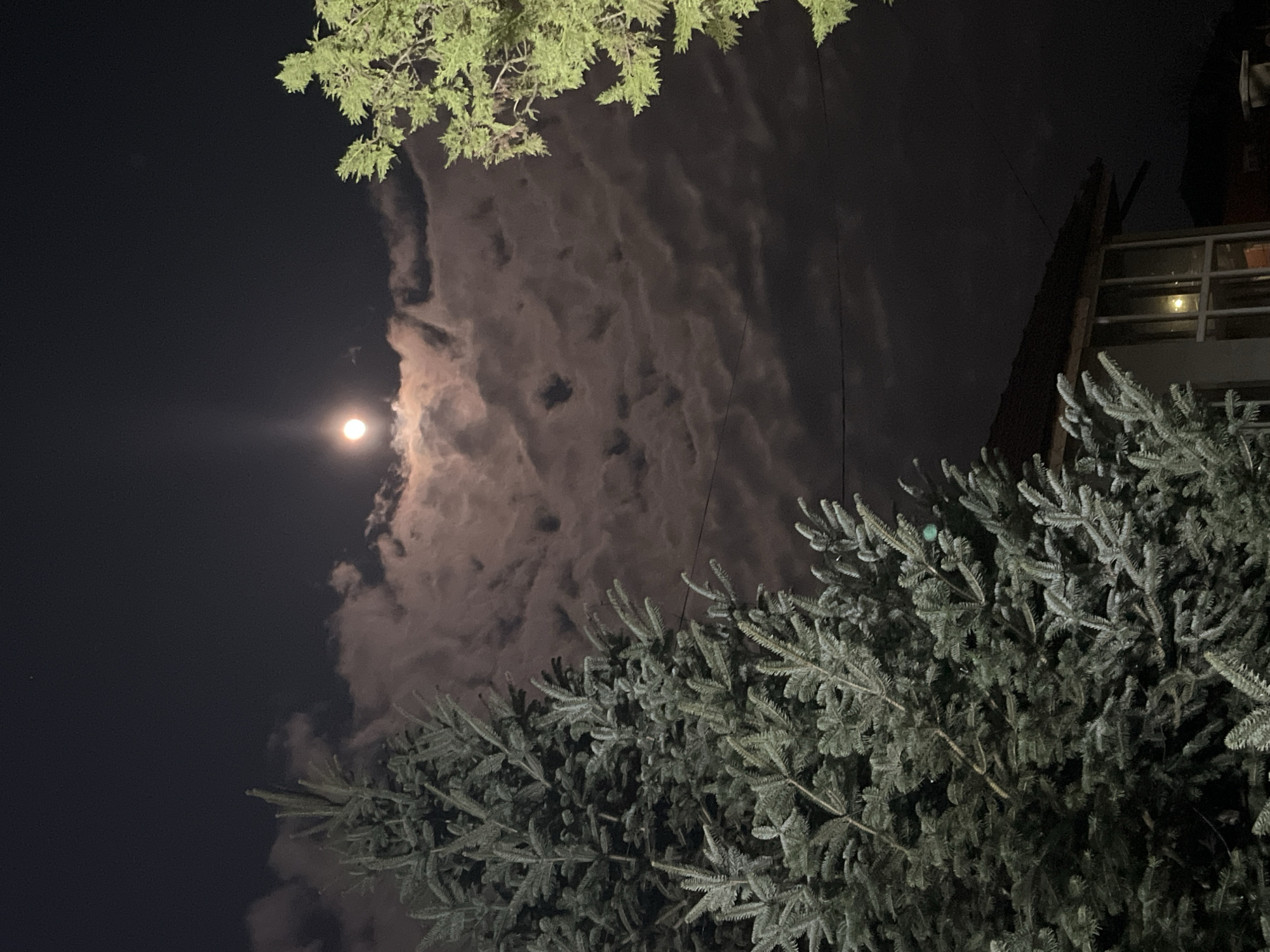 Bright moon illuminates cloudy night sky in Pchelnik, Bulgaria