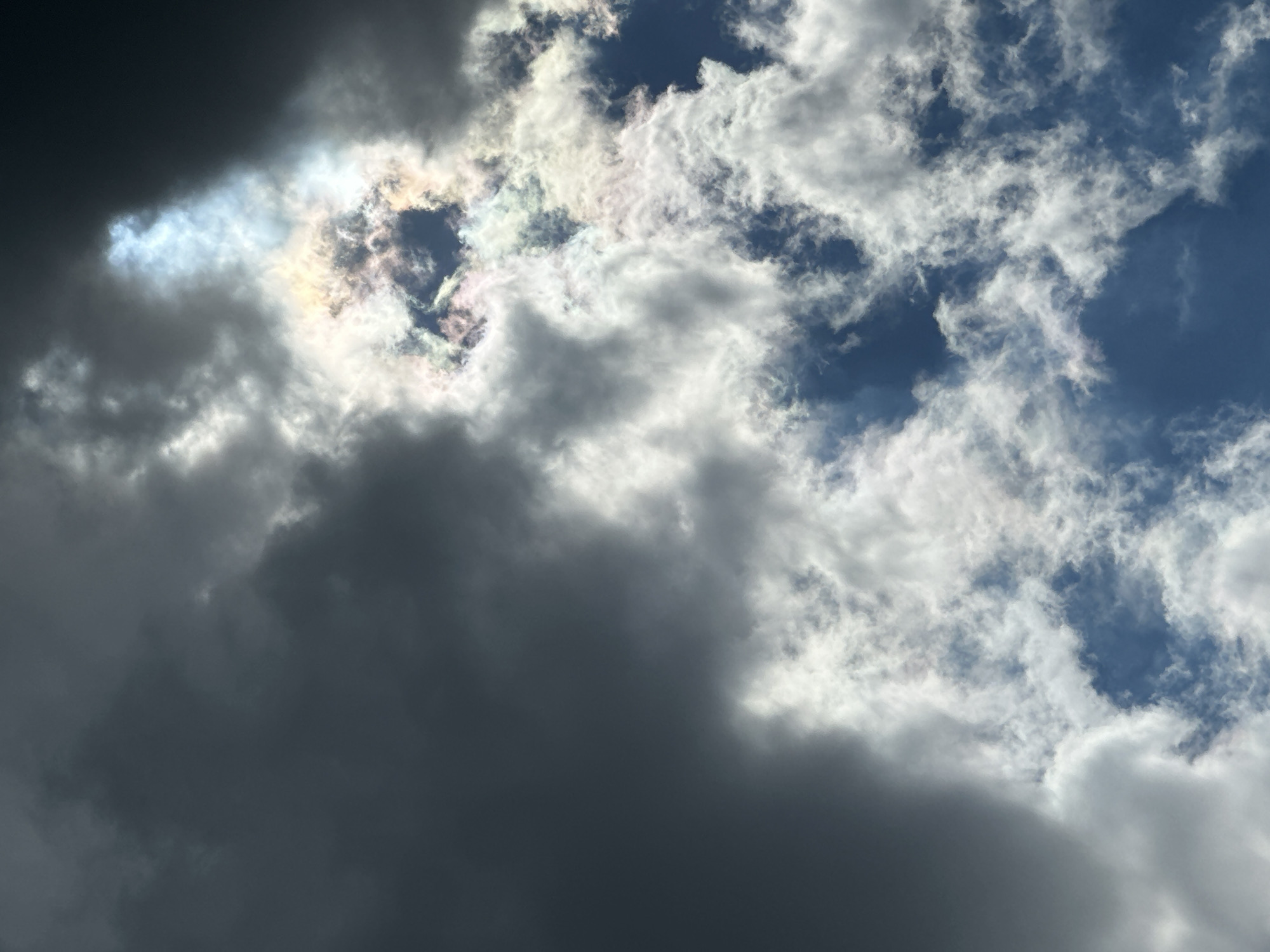 Cat naps and cloud watching documented over morning hours