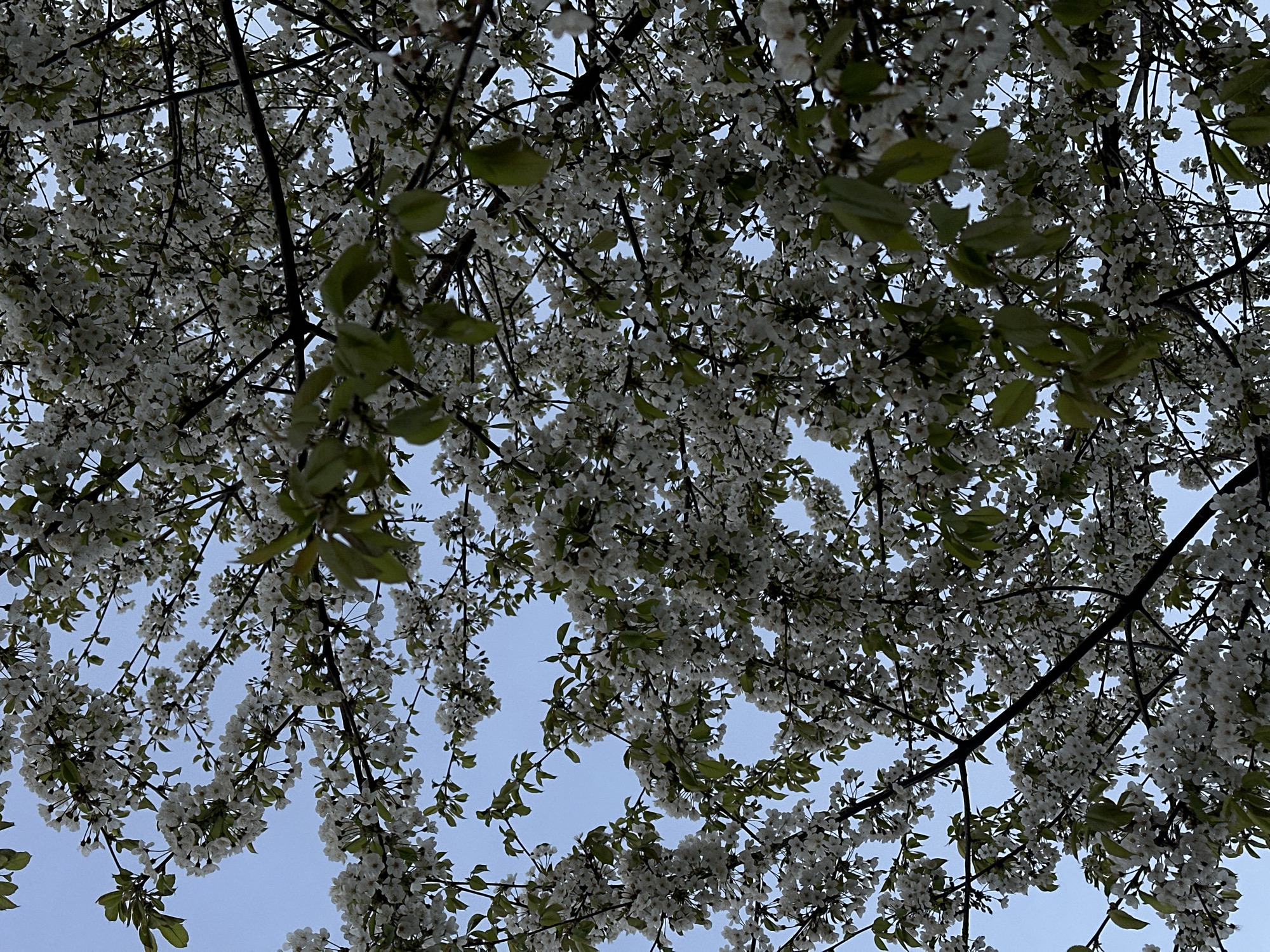 Spring morning scenes documented in Essen, Germany