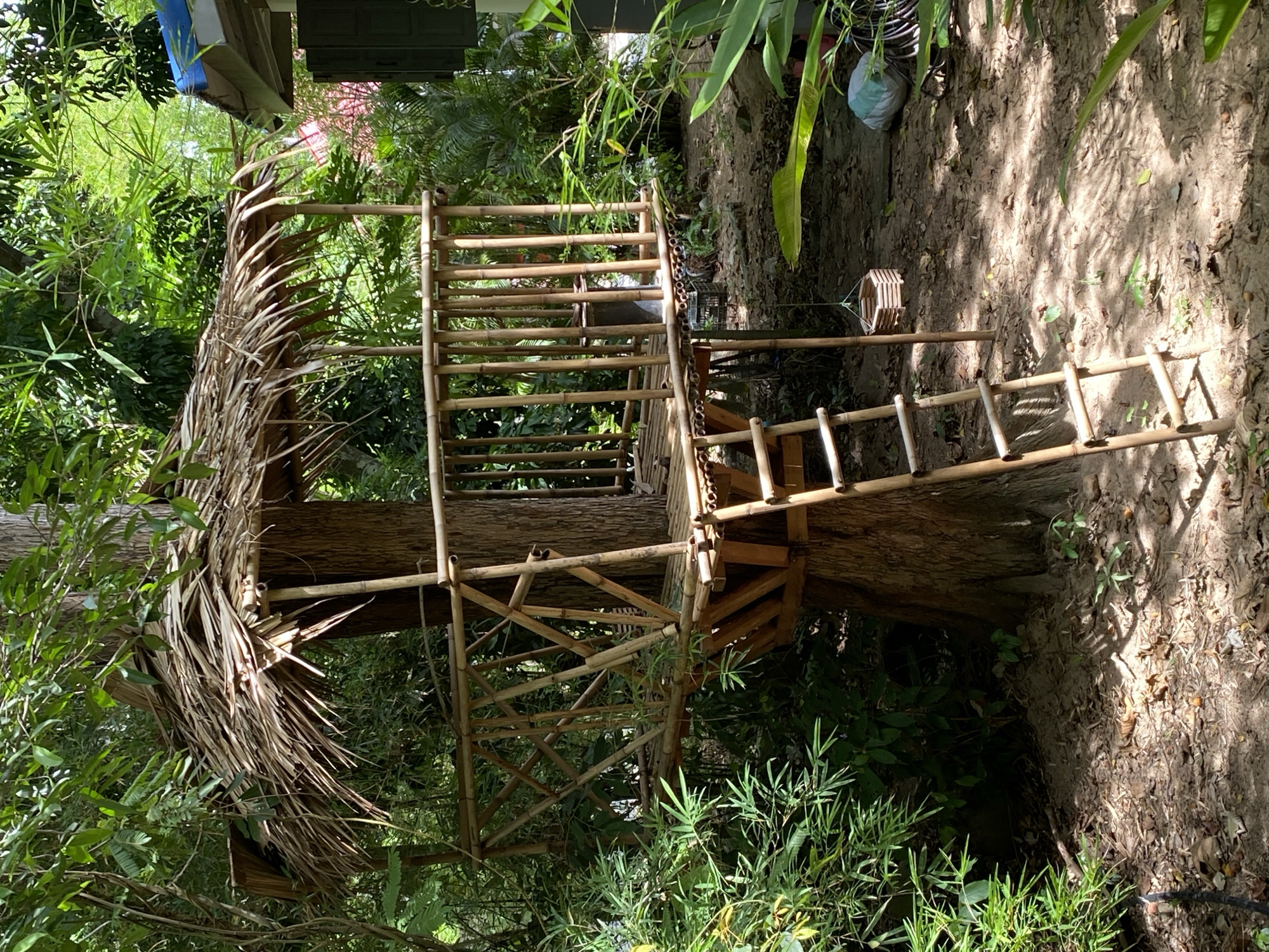 Morning walk through Koh Phangan's natural and cultural spots