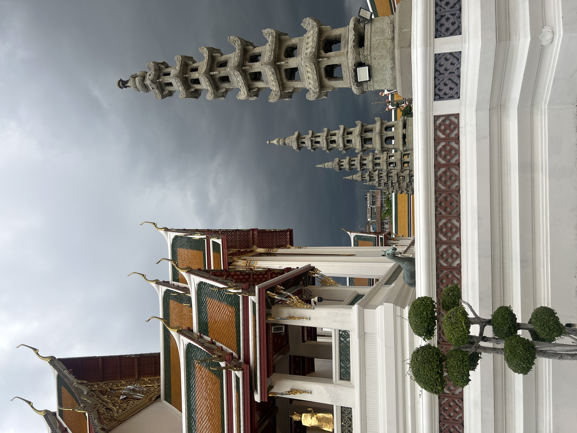 Temple grounds, urban wildlife, and Bangkok streets on a June morning