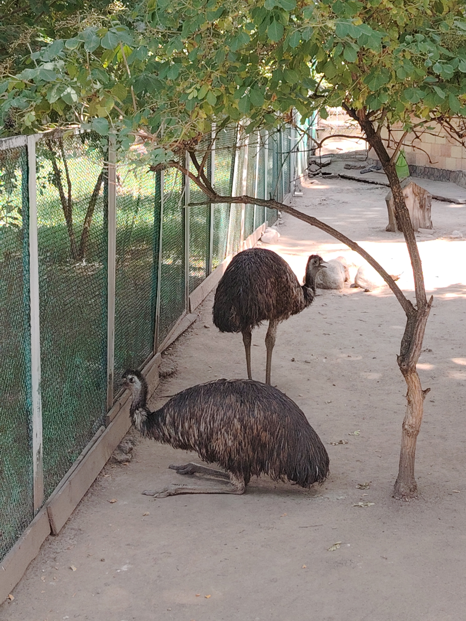 Morning tour through Almaty Zoo's birds, mammals, and aquarium