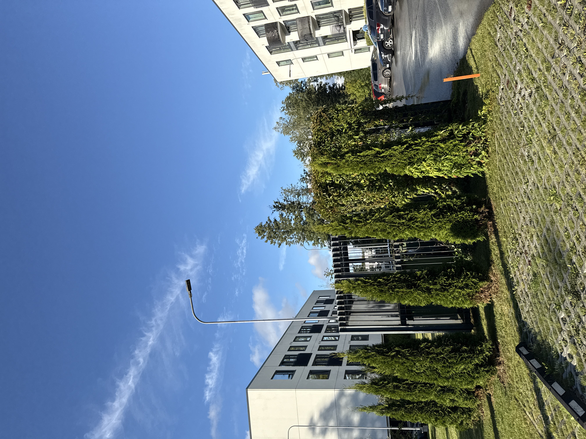 Tallinn streets and greenery on a sunny August afternoon