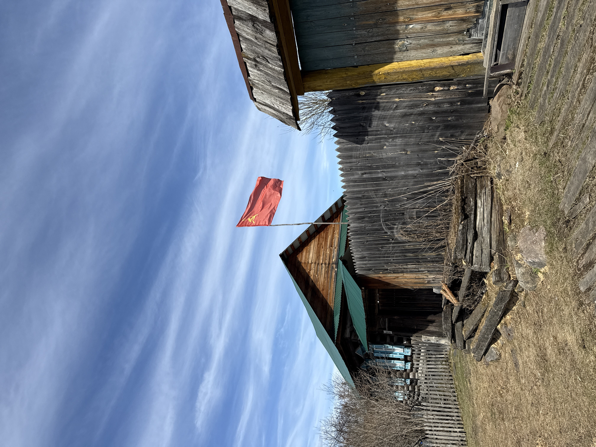 Spring wildlife spotted in rural Tyulyuk, Russia countryside