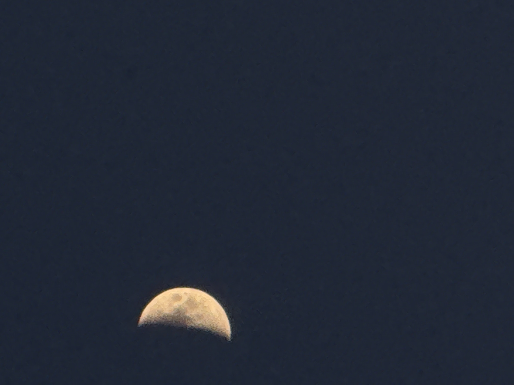 Evening observations in Ягул: crescent moon, cats, quiet moments