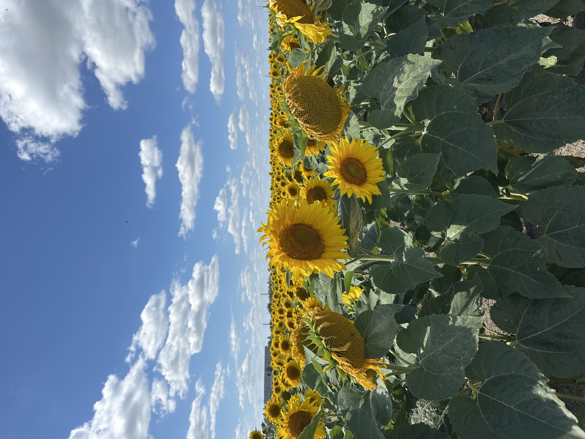 Rudnia, Ukraine
