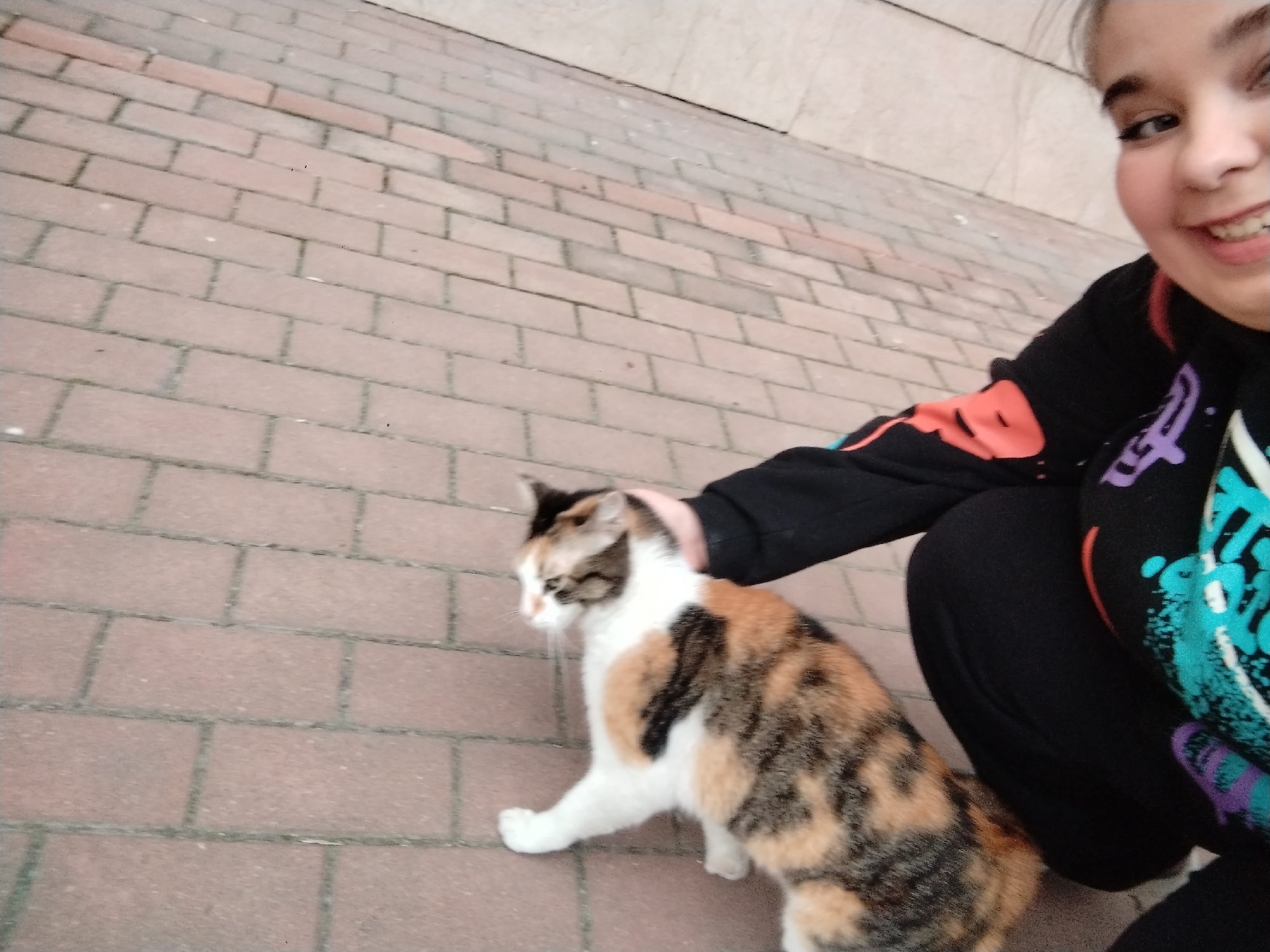 Morning scenes captured in Plovdiv: girl with cat, debris-filled river