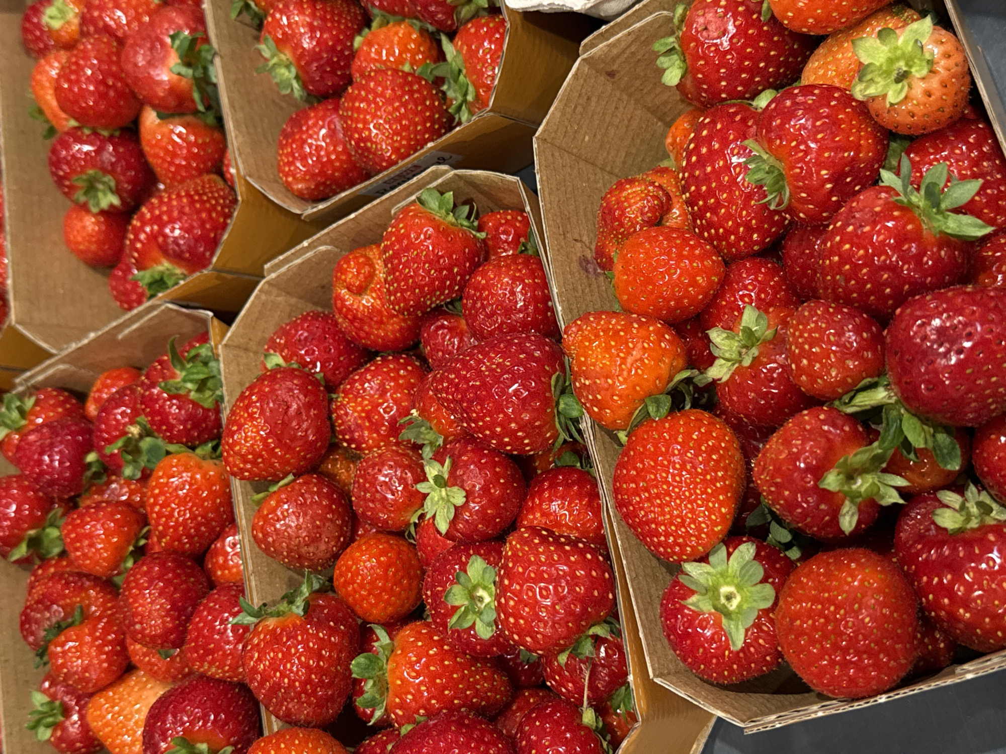 Late-summer flower market in Herzberg, packed with blooms and produce
