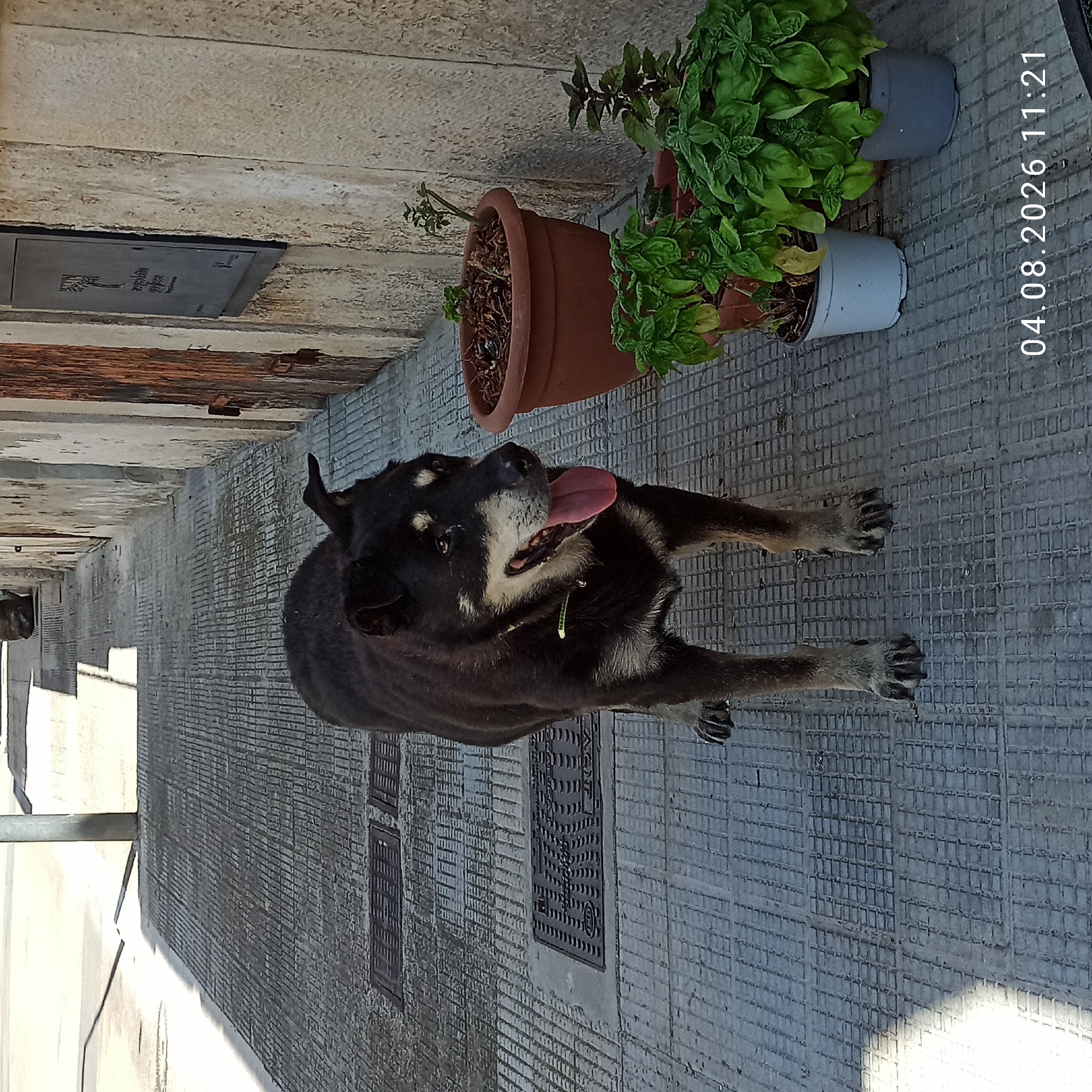 Quiet summer morning in the streets of Bitonto, Italy
