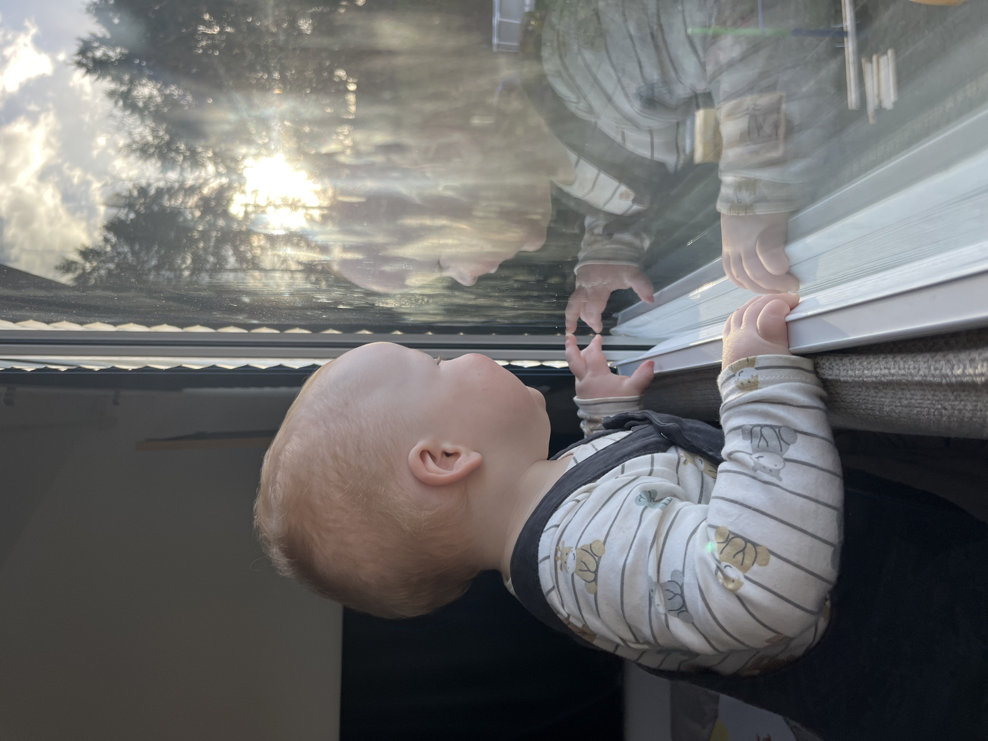 Child gazes out window in German home
