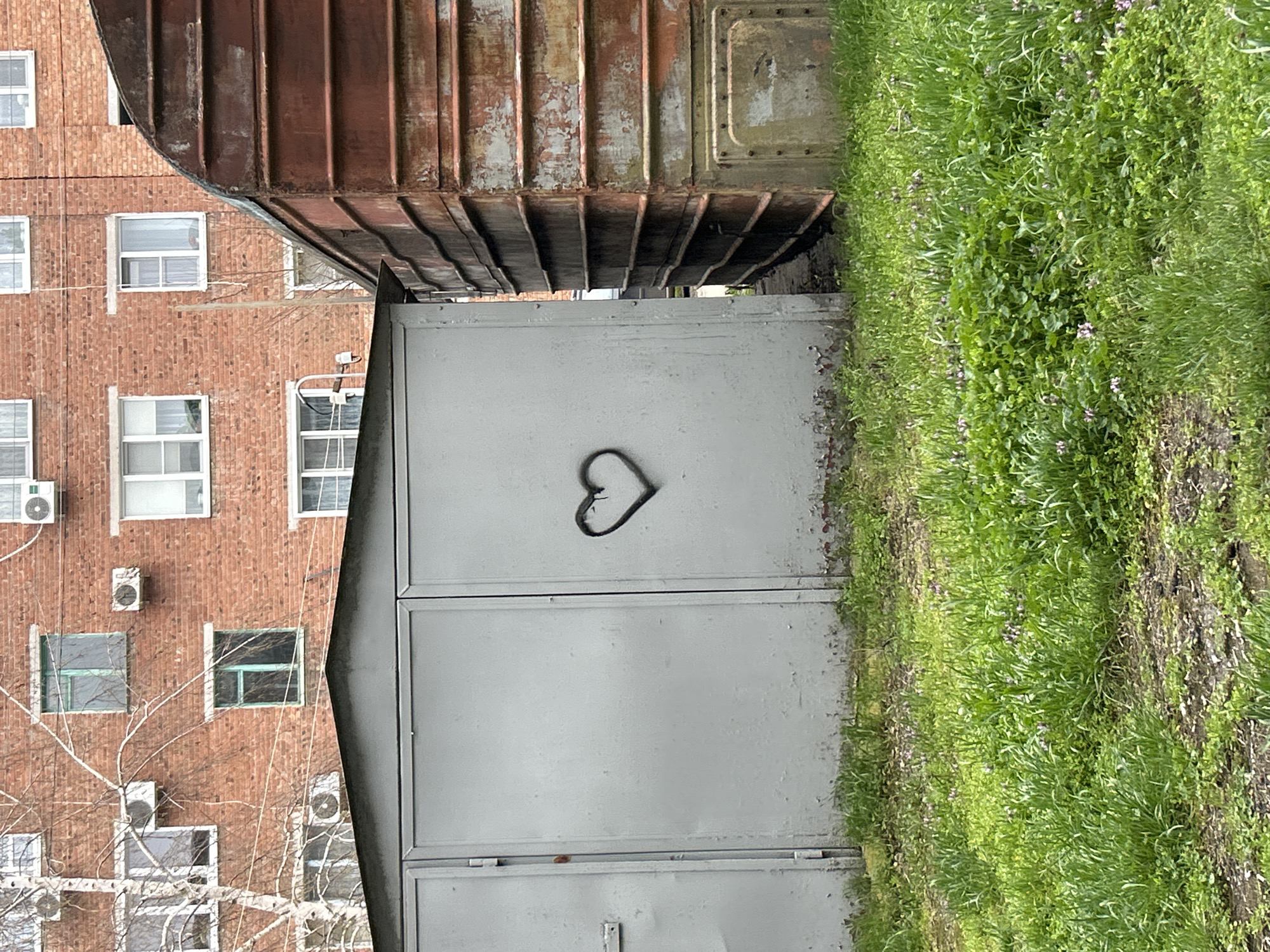 Heart graffiti spotted on garage door in Dmitrievskaya