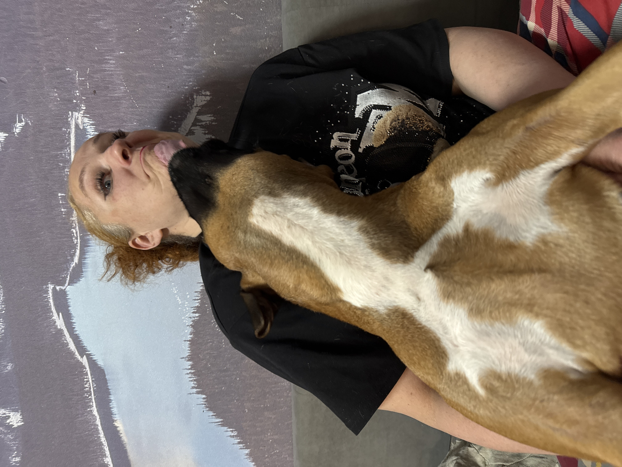 Family dog shares affectionate moments with owners in Chaikovsky