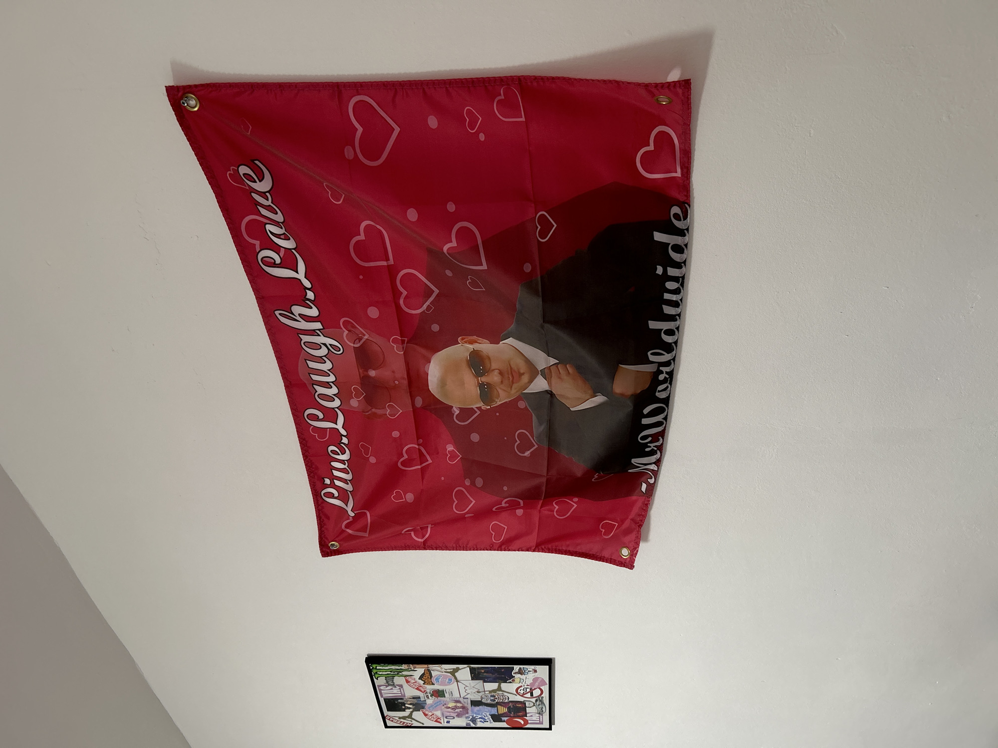 Pitbull rapper flag displayed on Sofia wall