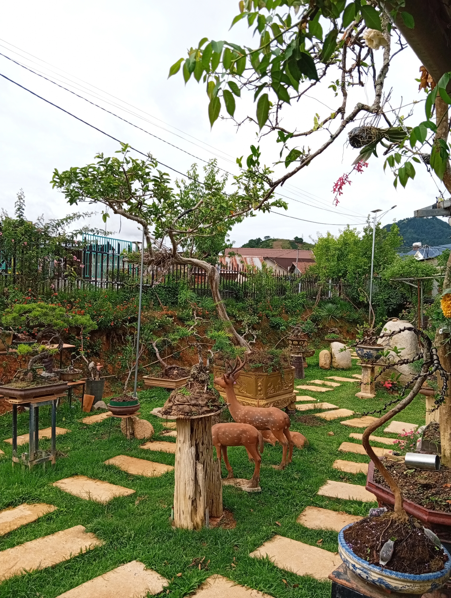 Garden with koi ponds and waterfalls documented in Vietnam
