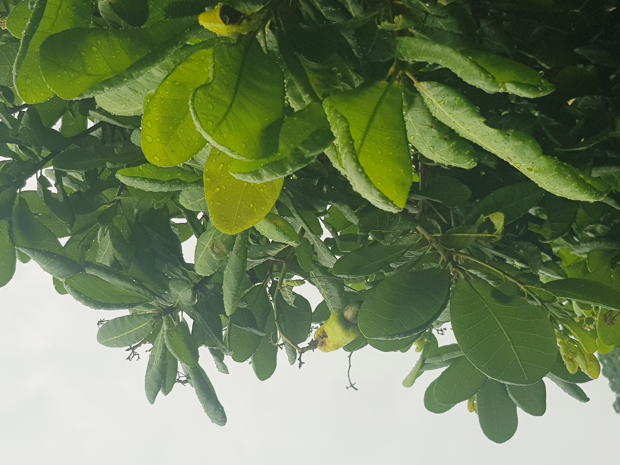 Lokoja, Nigeria