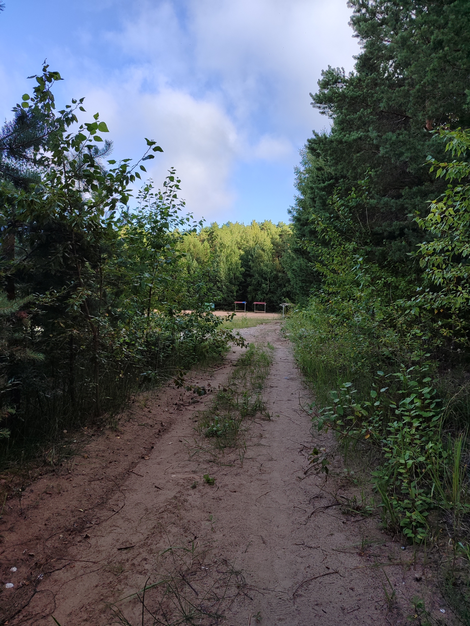 Quiet lakeside scene with wooded trail and open water