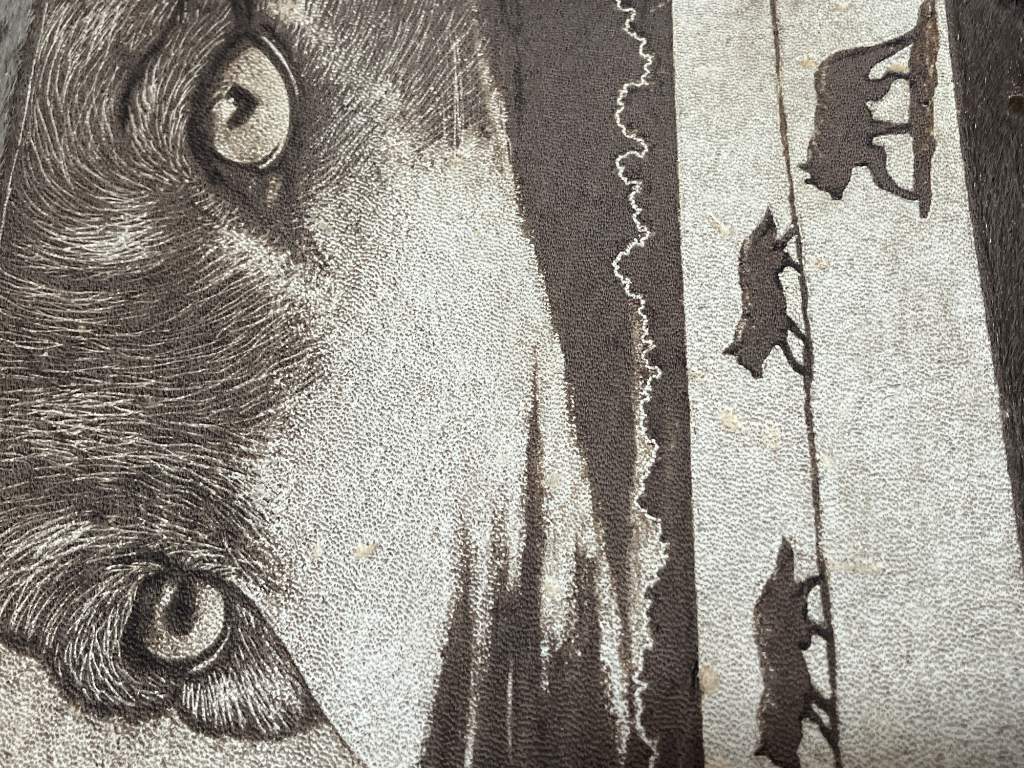 Wolf artwork documented in Zelenogorsk, Russia