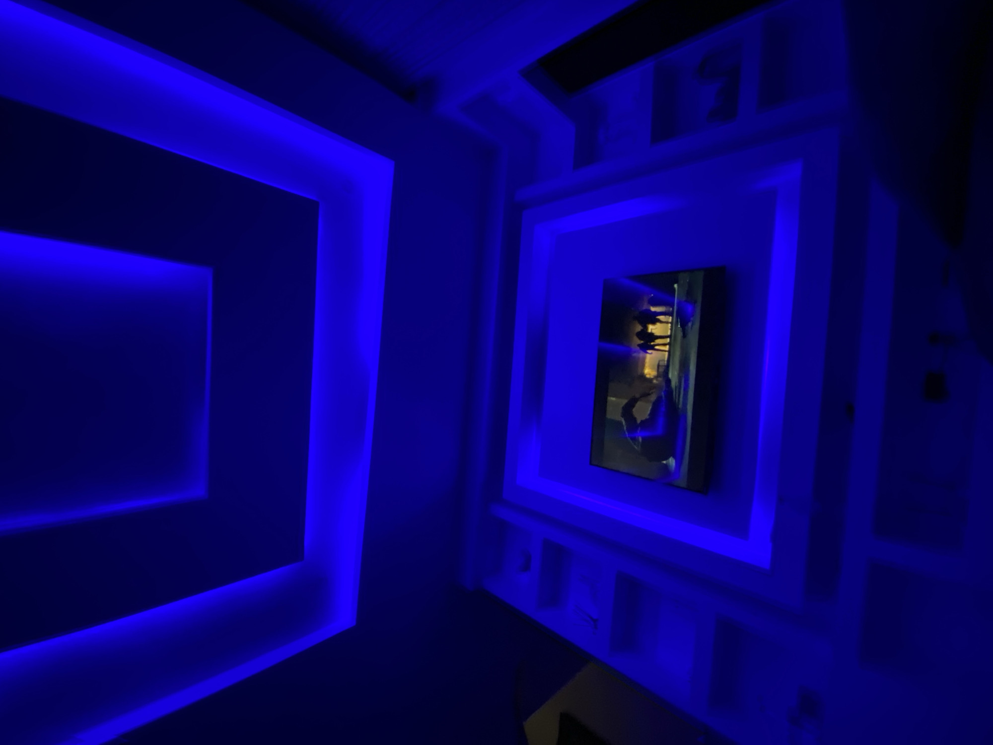 Adult plays with toy dinosaurs in blue-lit Lagos apartment