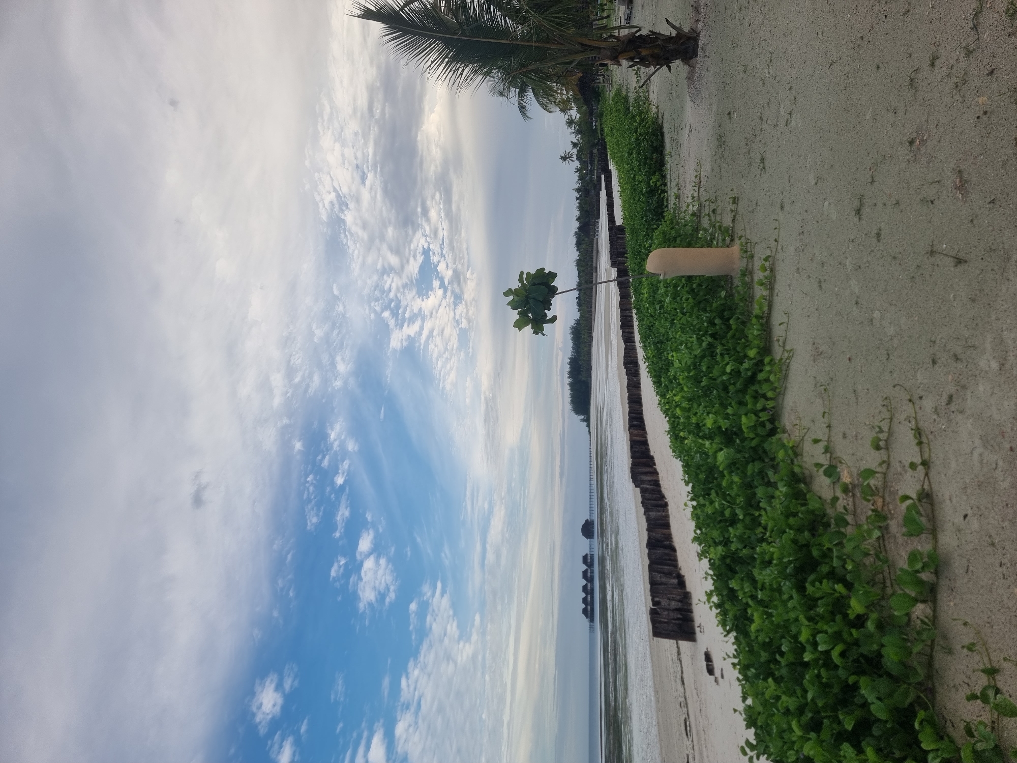 Beach scene with wooden structures documented in Zanzibar