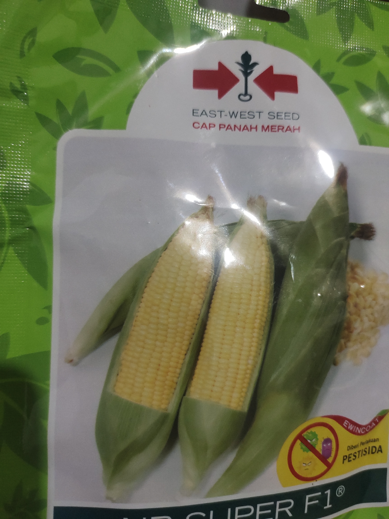 Corn seed packet, aged wall documented in Indonesian village