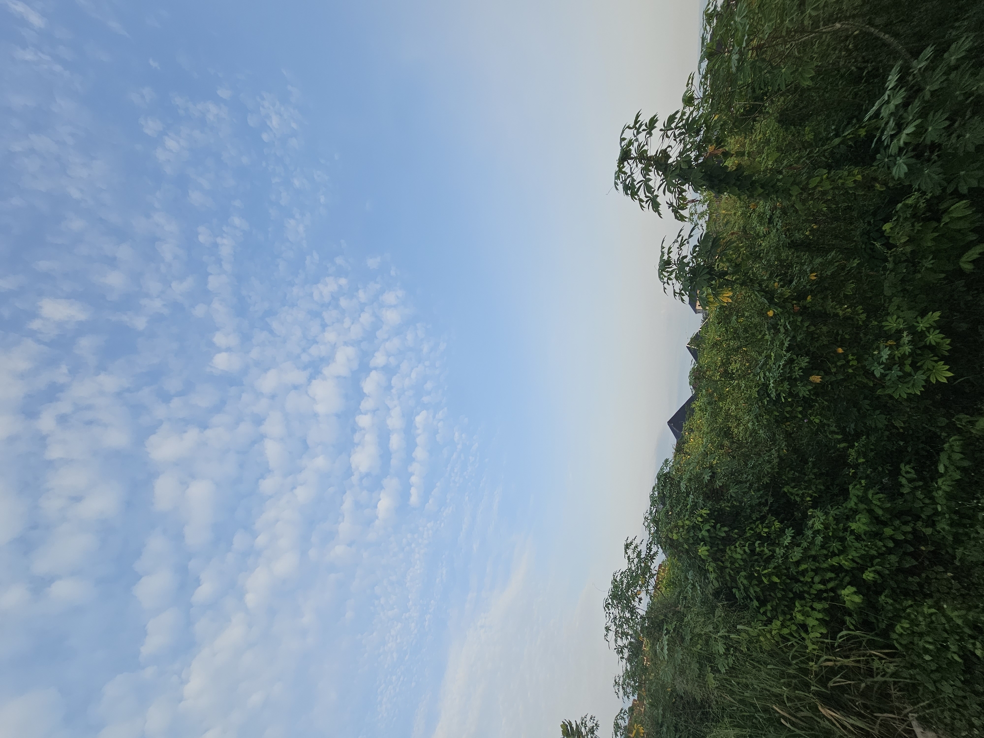 Morning sky and urban decay documented by witnesses