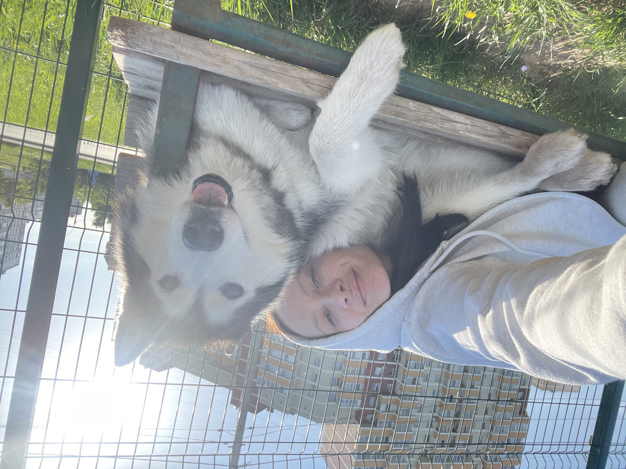Woman and Husky enjoy afternoon park outing in Izhevsk