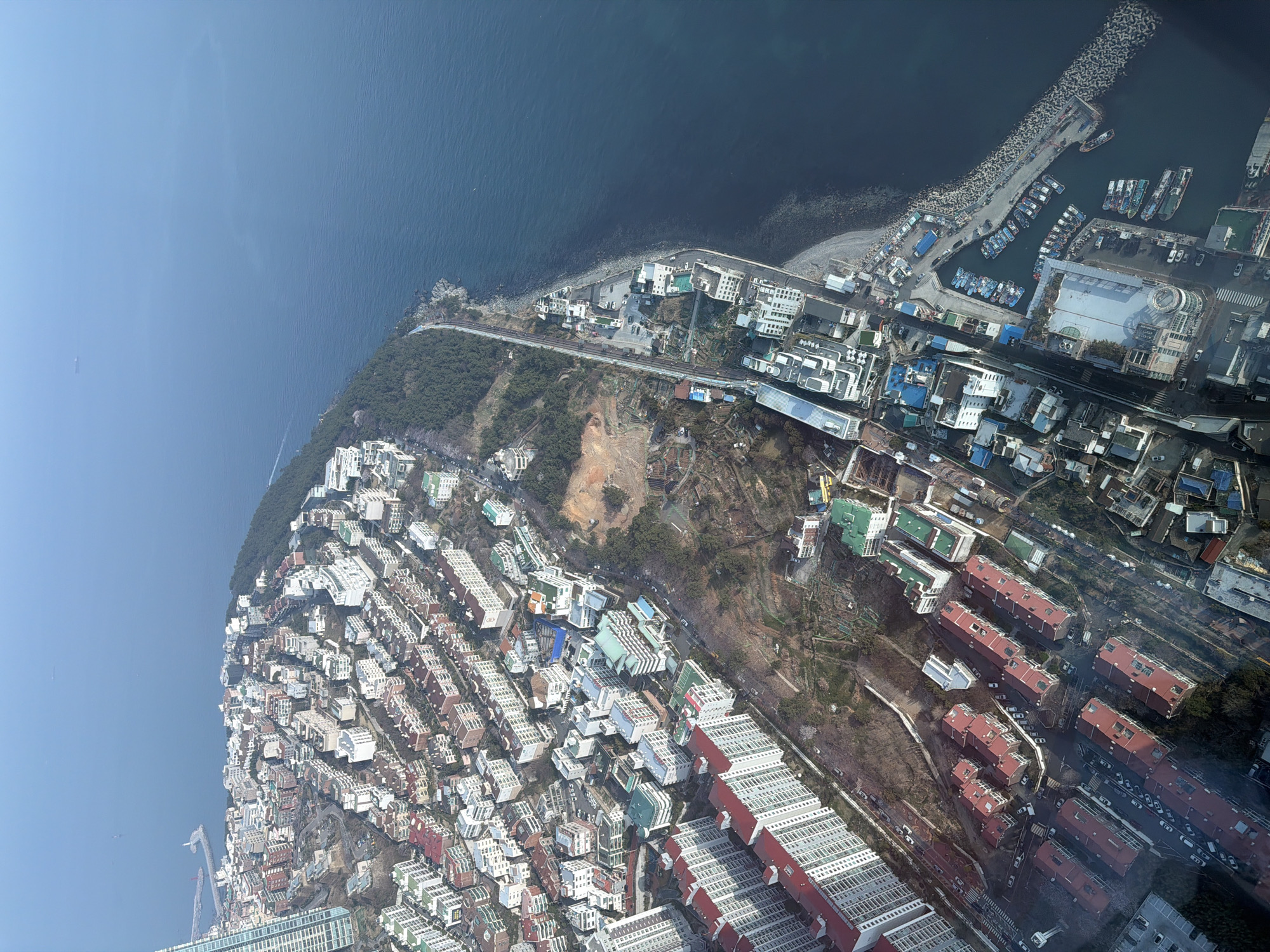 Morning tour of Busan captures coastal views and indoor attractions