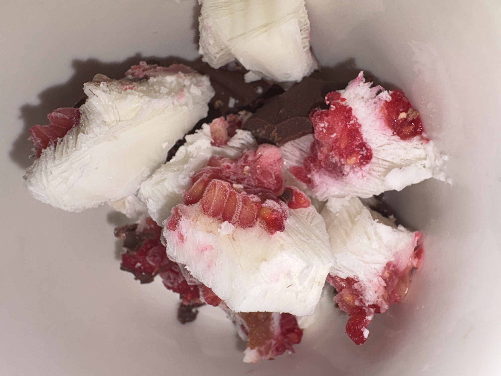Mexico City resident captures close-up of layered dessert with fruit