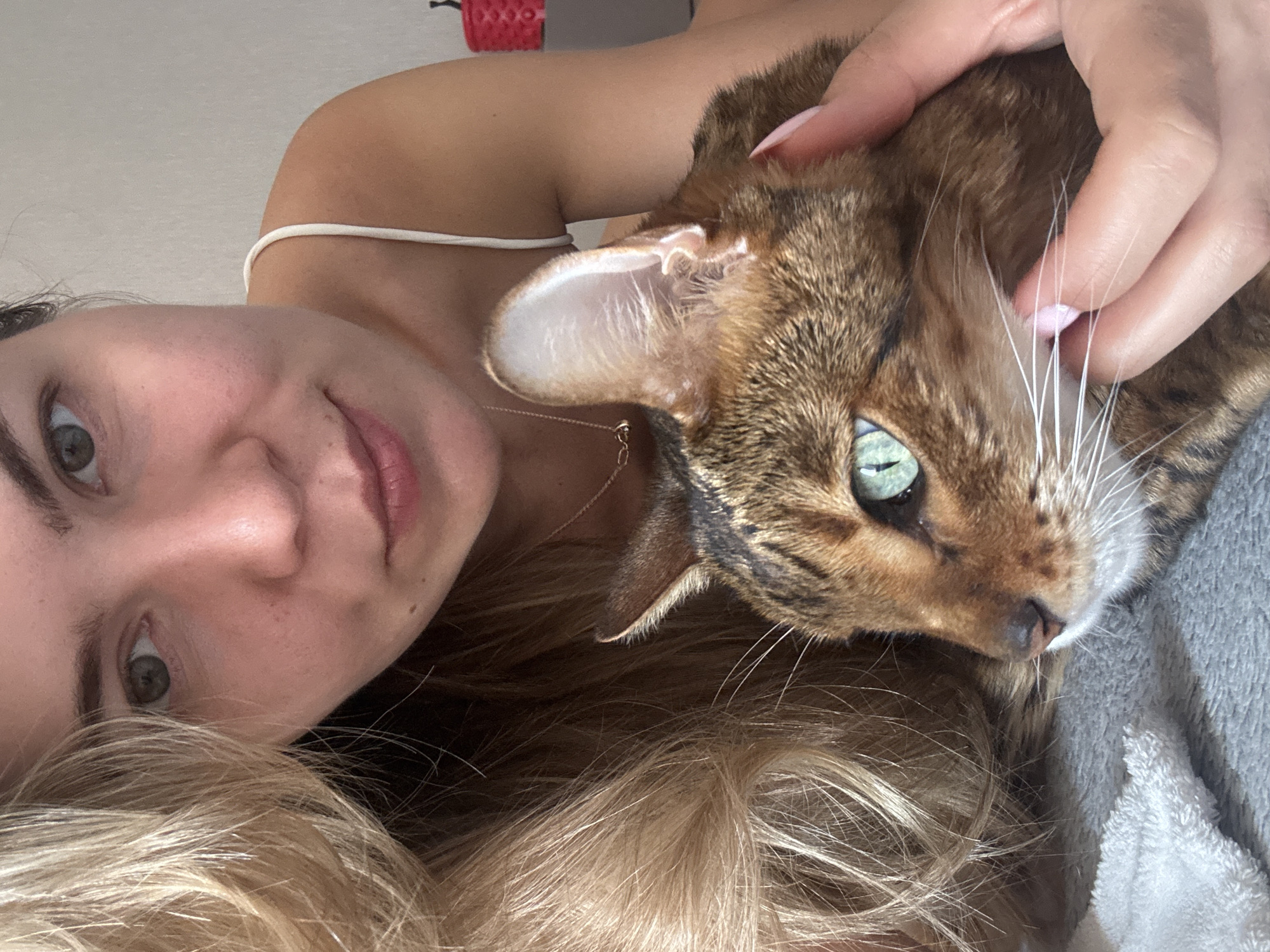 Lazy morning in bed with a Bengal cat and a meditation tag.