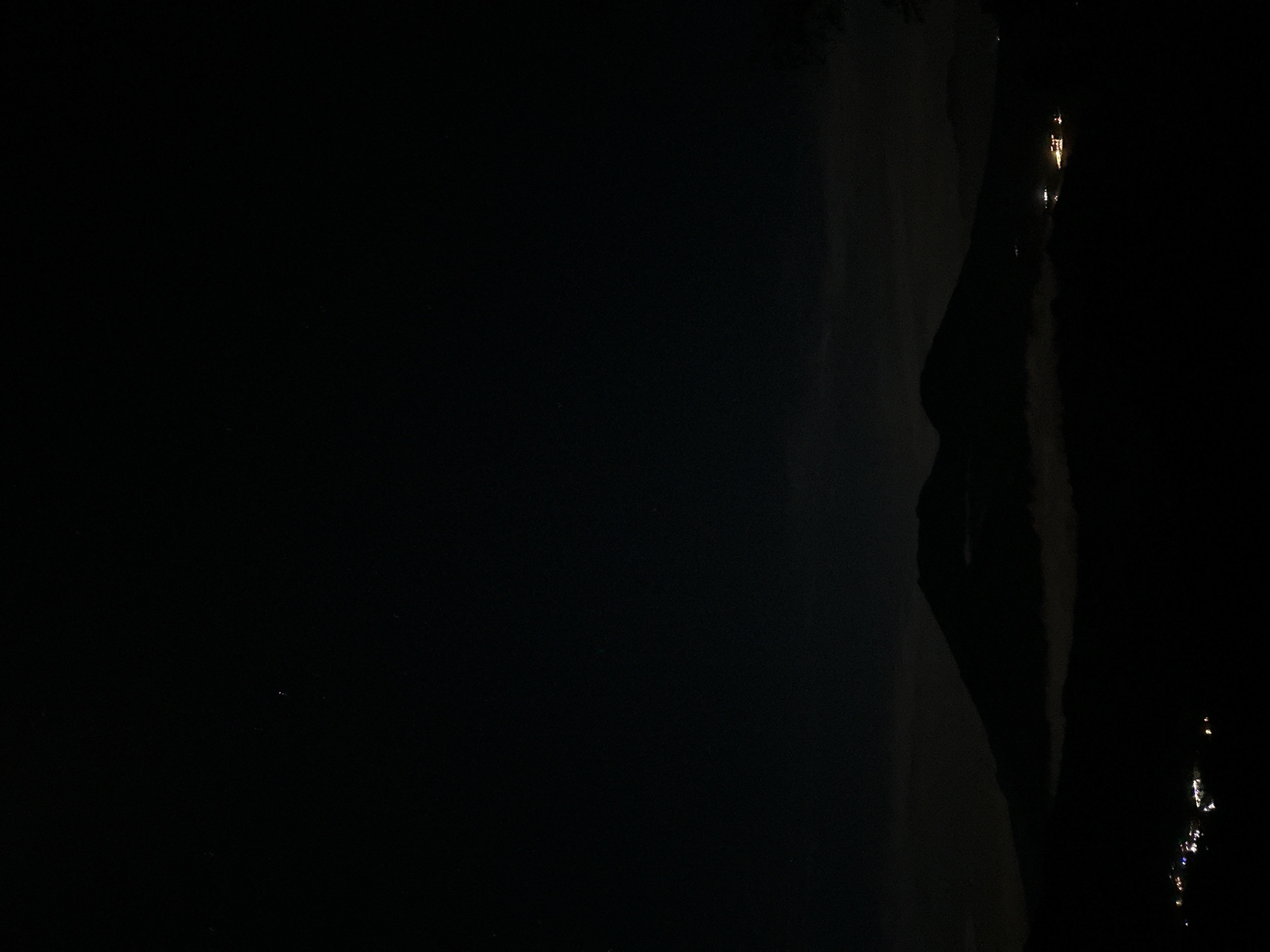 Nighttime forest documentation with lights captured in Indonesia