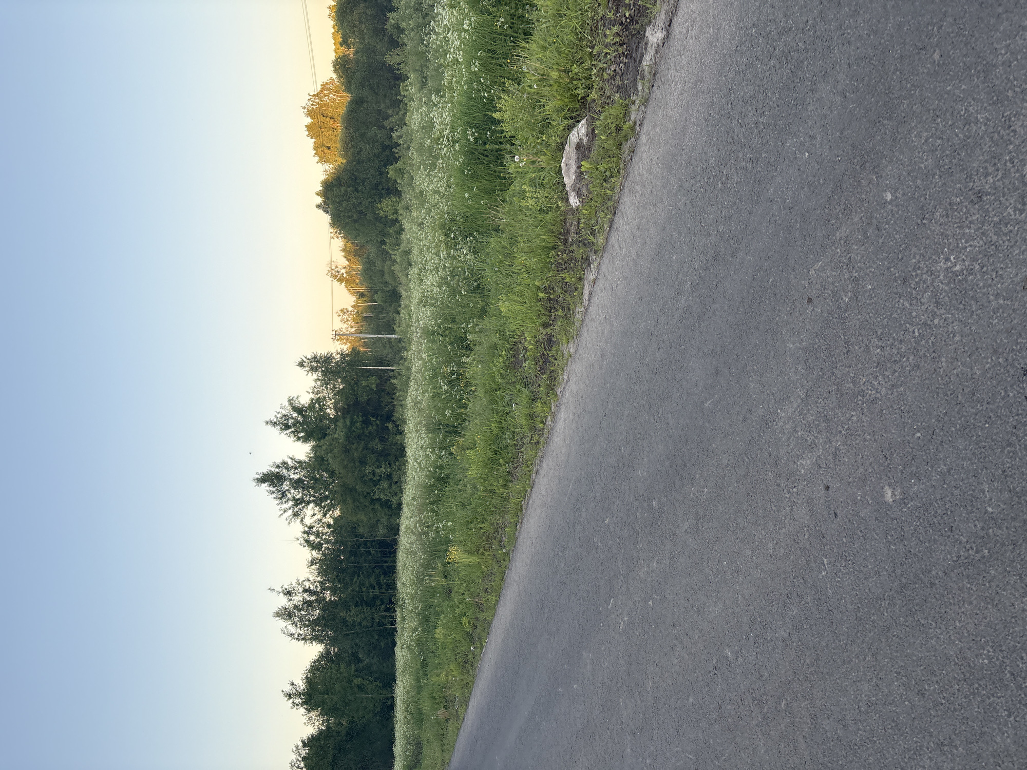 Rural roadway documented in 19-minute sequence by unknown witness