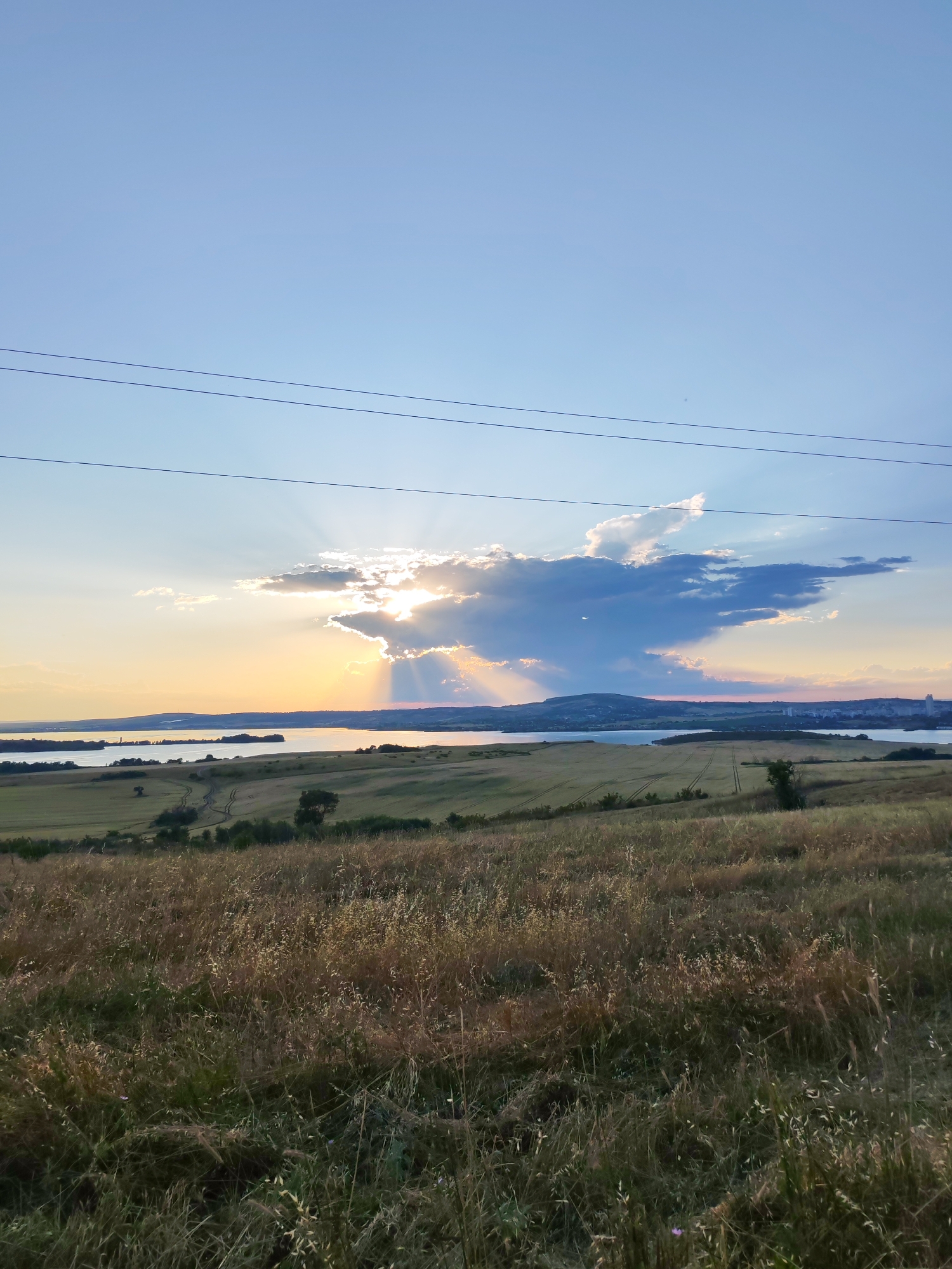 Golden hour over a Bulgarian lakeside, thistles and all