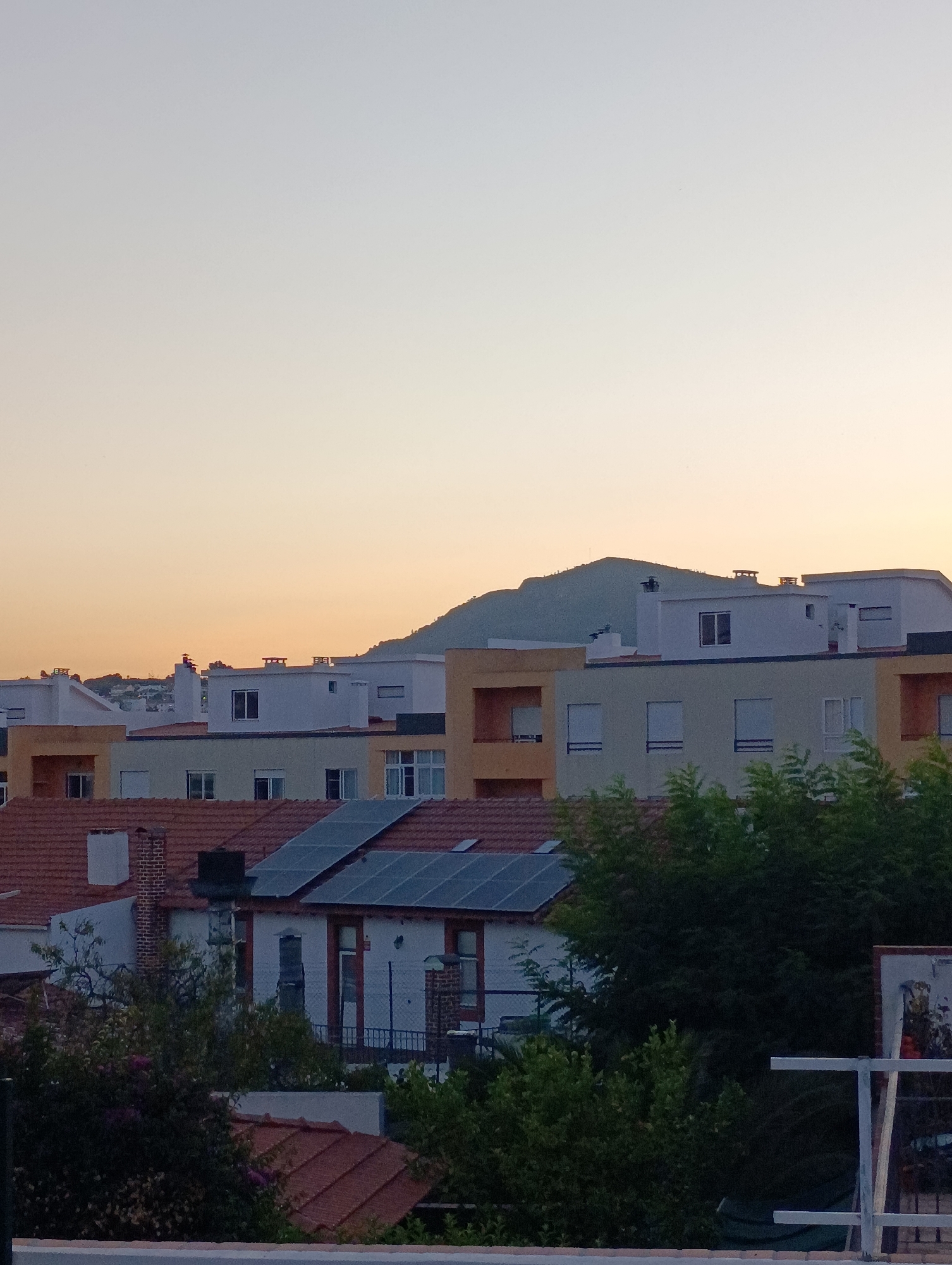 Sunset evening in a Setúbal neighborhood, rooftops and a resting dog