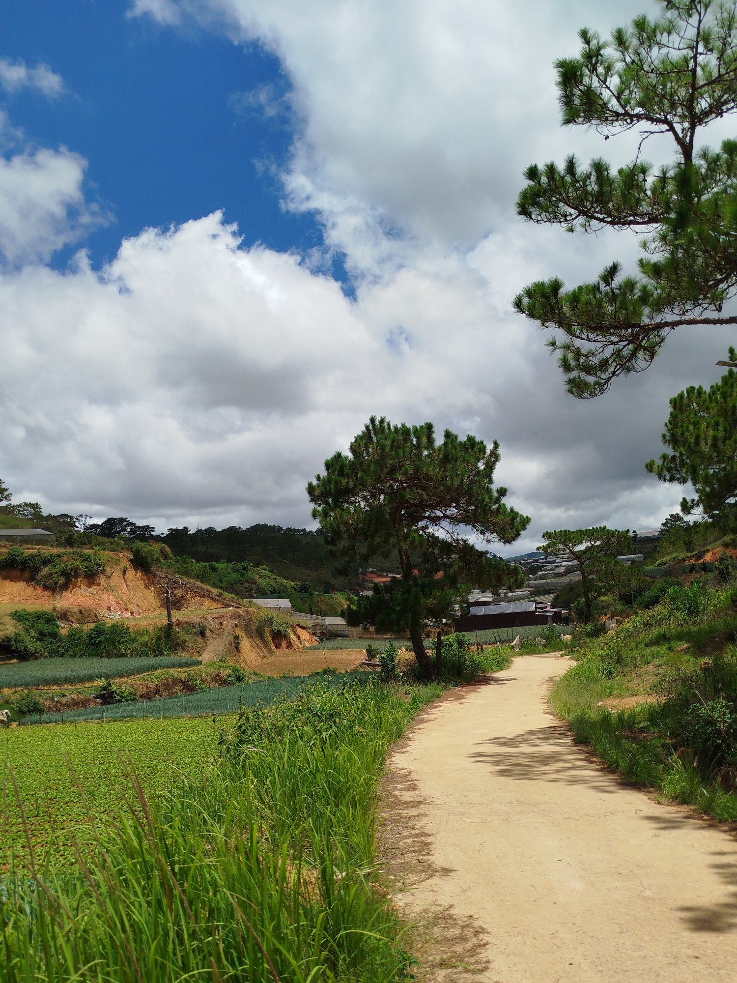 Rural farmland and rolling hills documented in Lạc Dương
