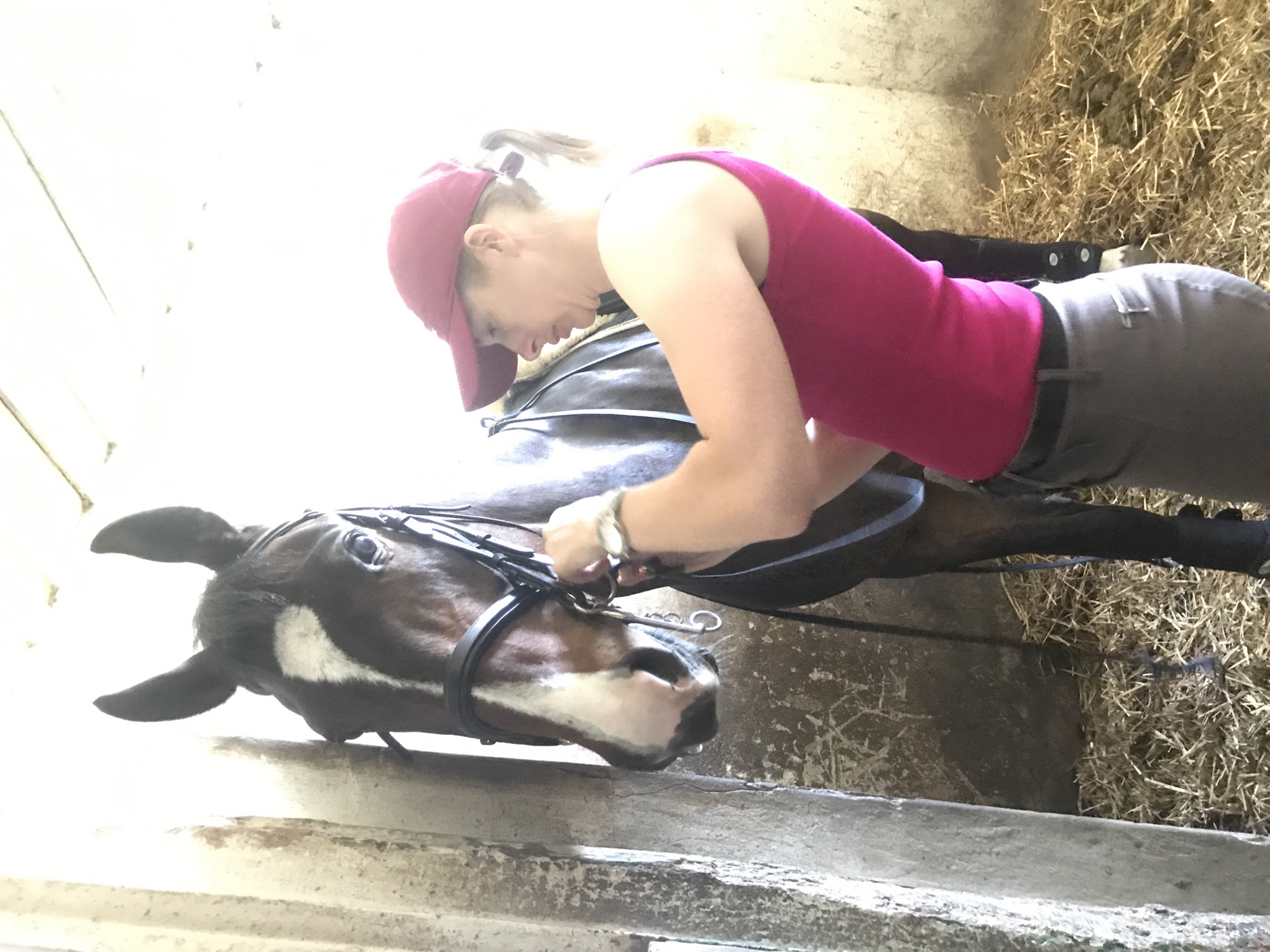 Woman tends to horse in Lima stable