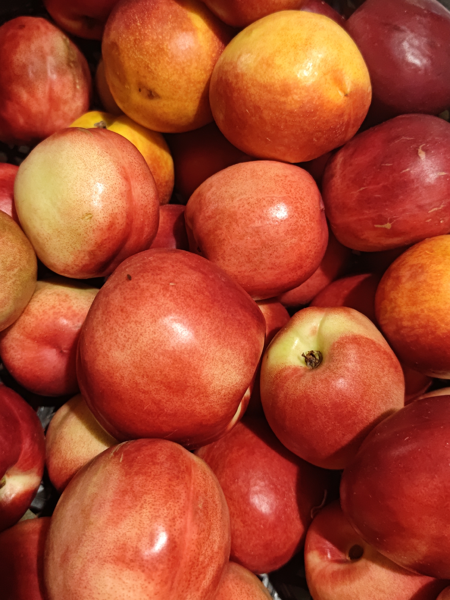 Summer afternoon in Shcherbinka: fruit, flowers, and a celebration